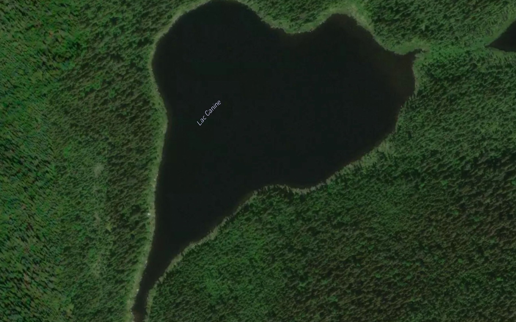 Satellite map of the Lac Canine