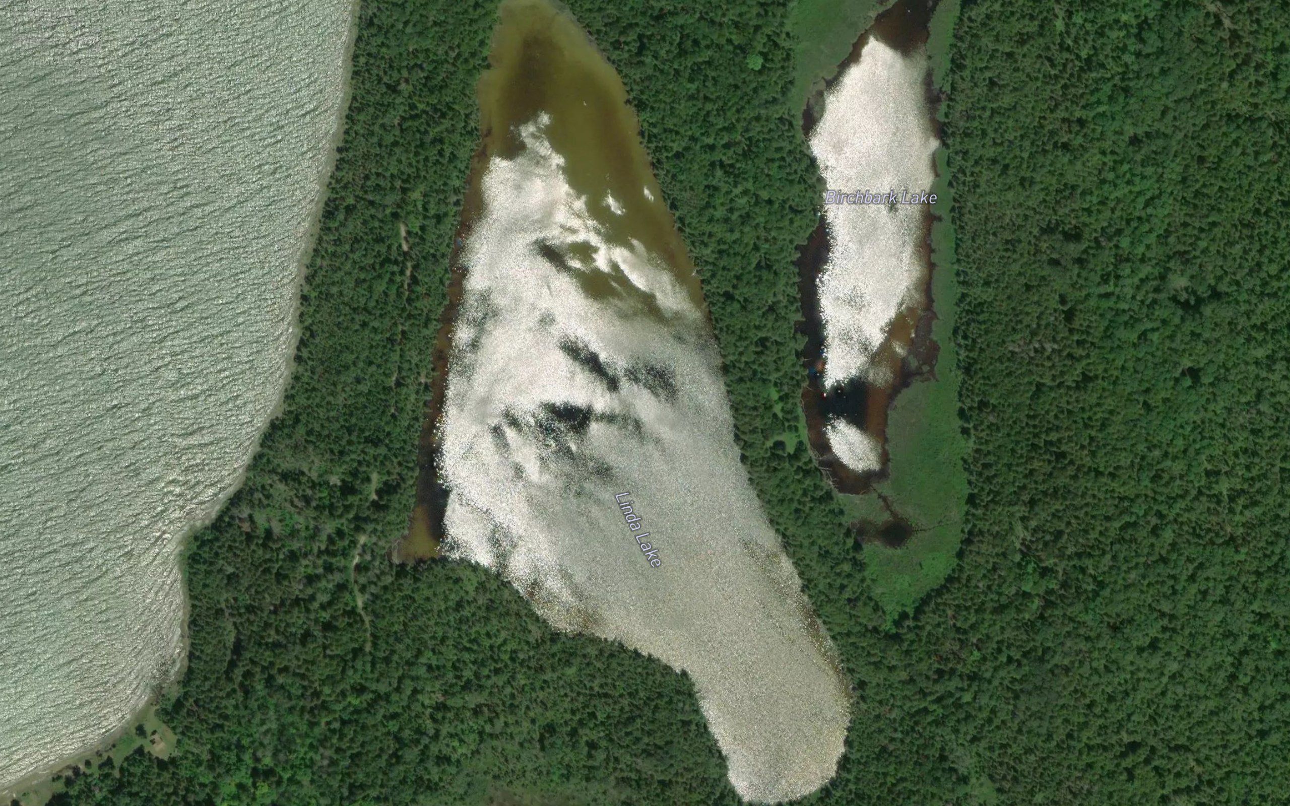 Linda Lake