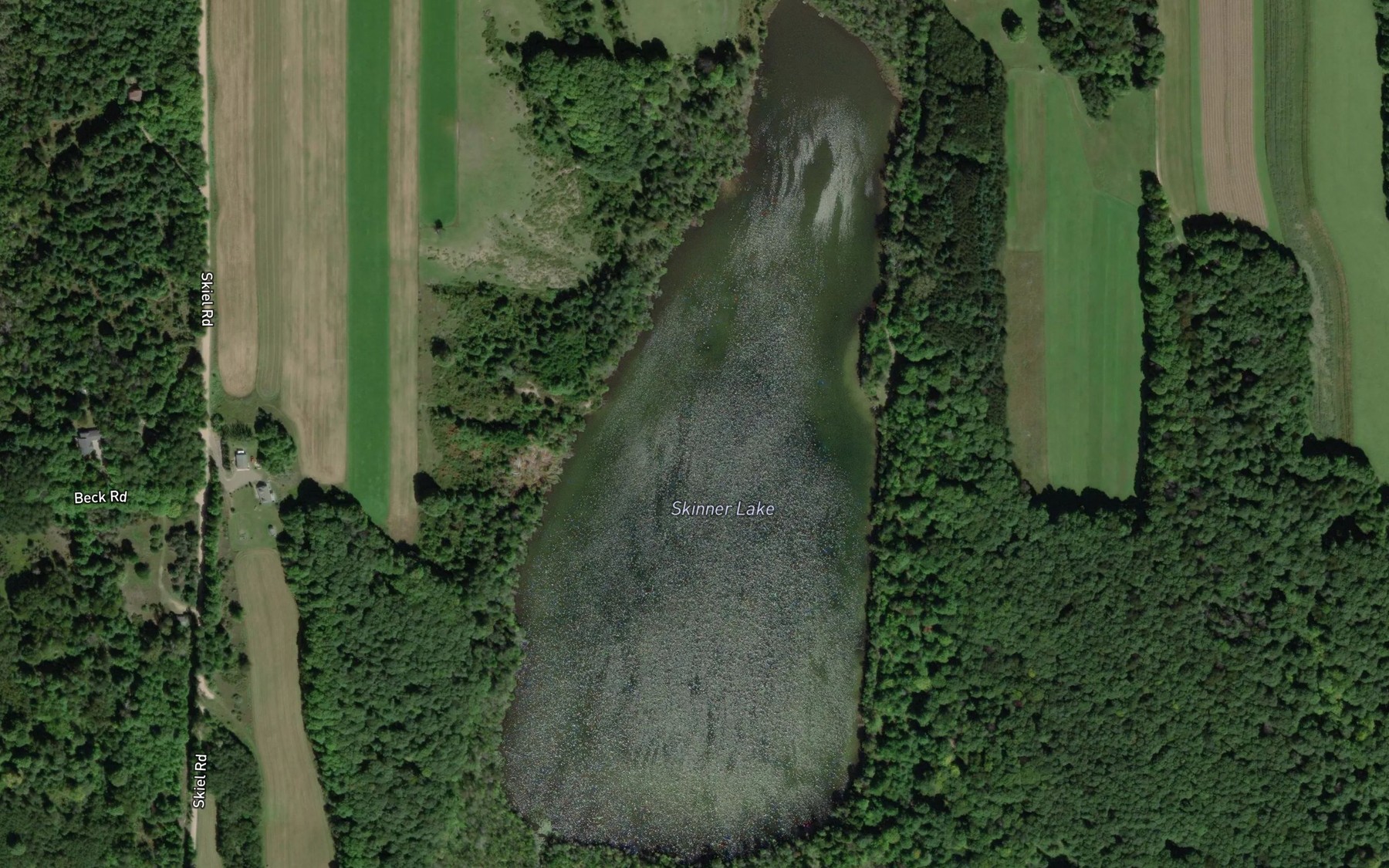 Satellite map of the Skinner Lake