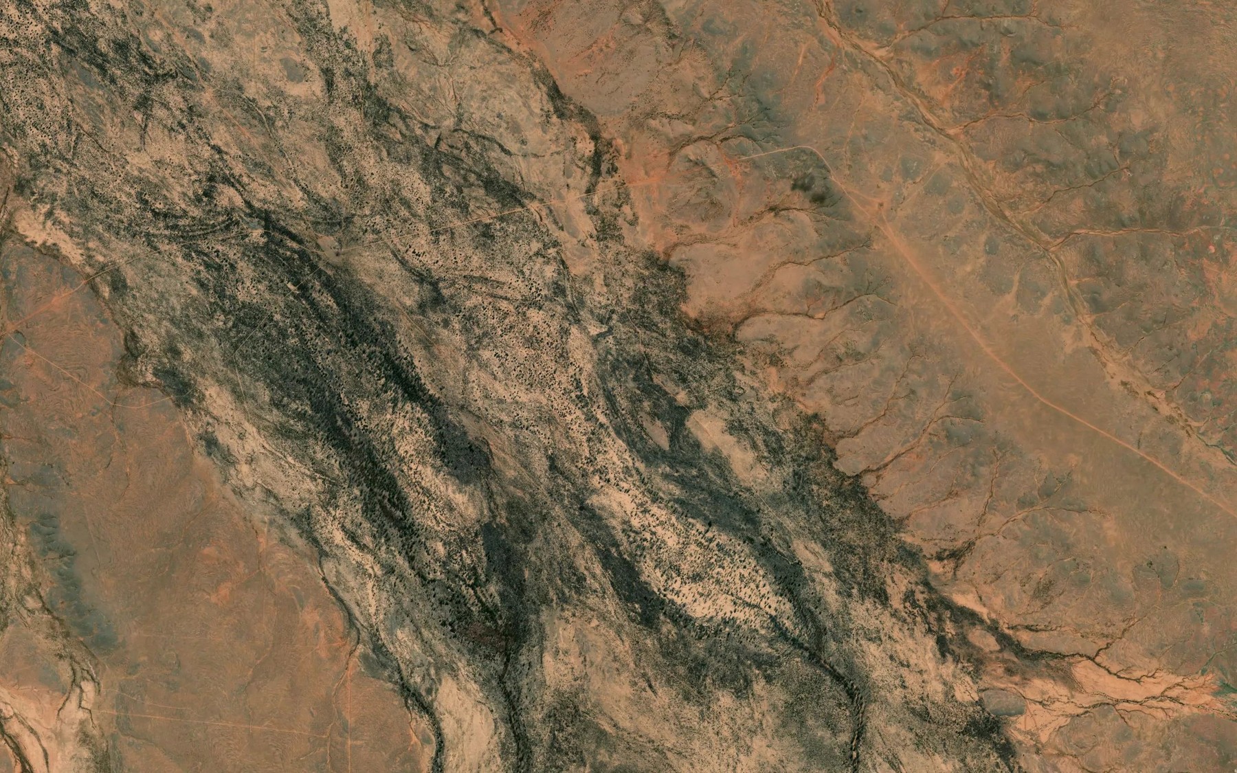 Satellite map of the Taylors Creek