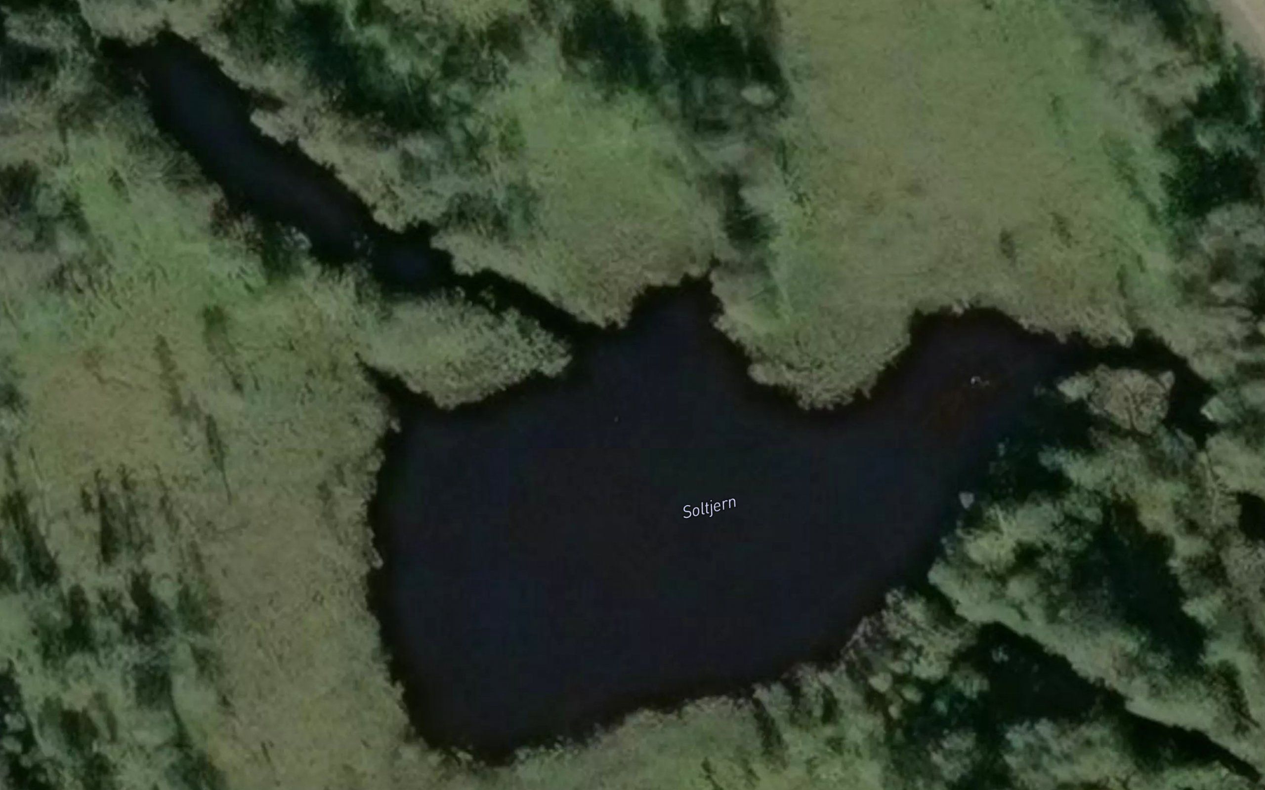 Soltjern