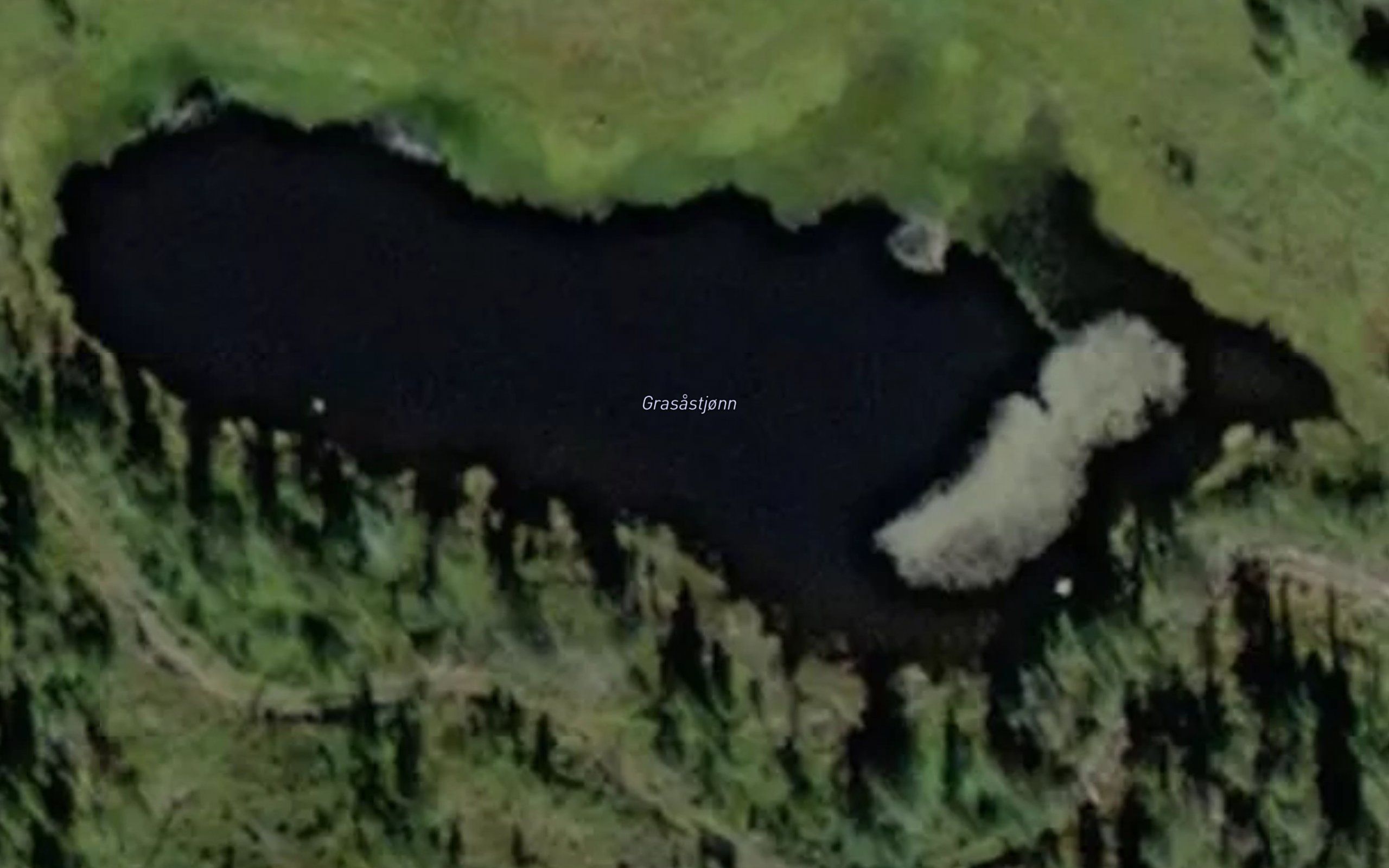 Grasastjonn