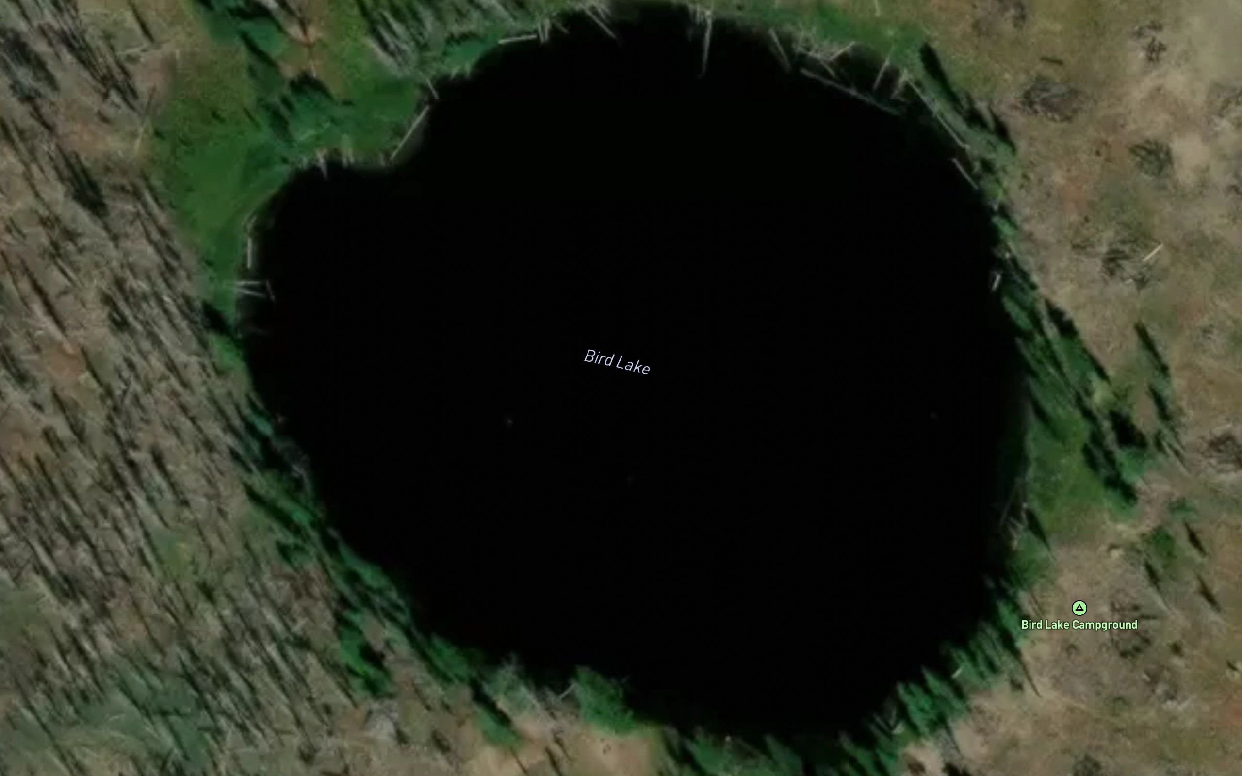 Bird Lake