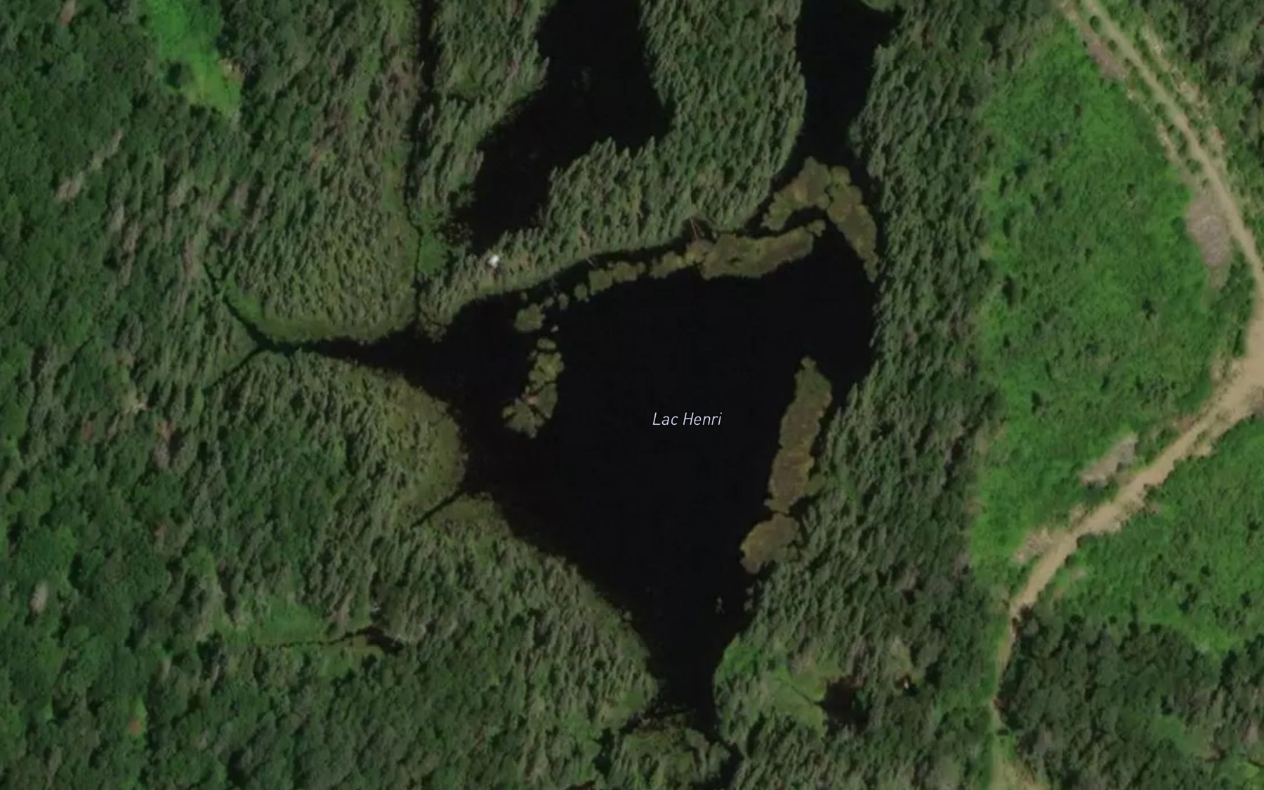 Satellite map of the Lac Henri