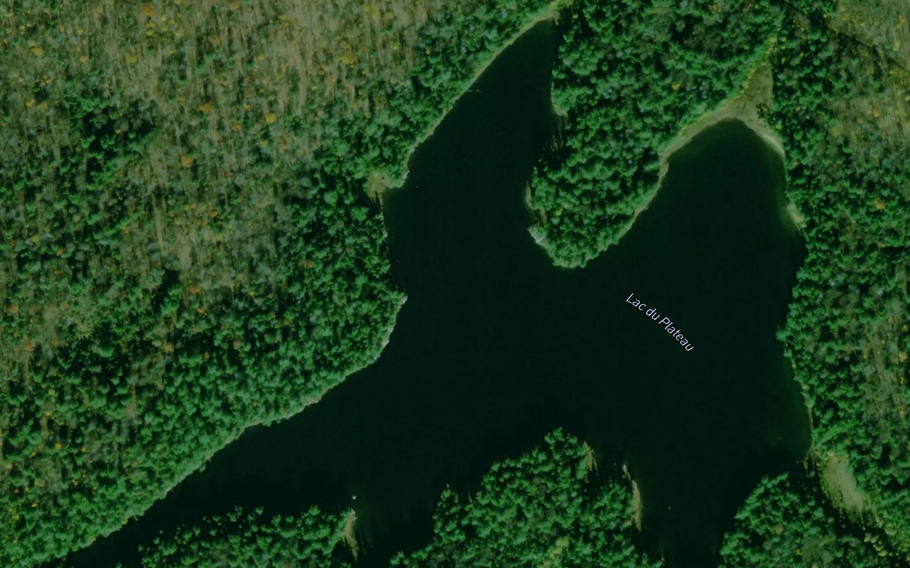 Satellite map of the Lac du Plateau