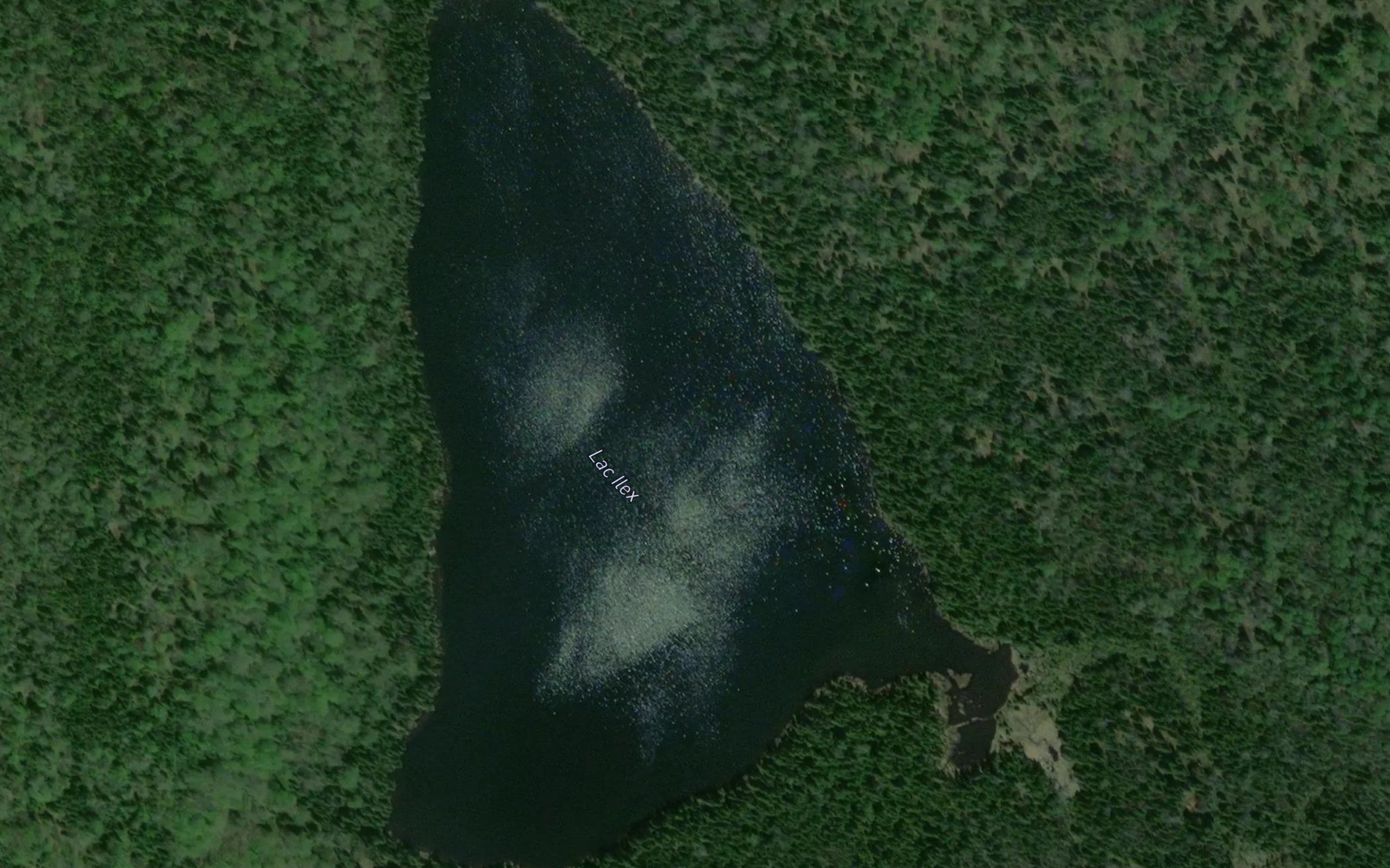 Lac Ilex