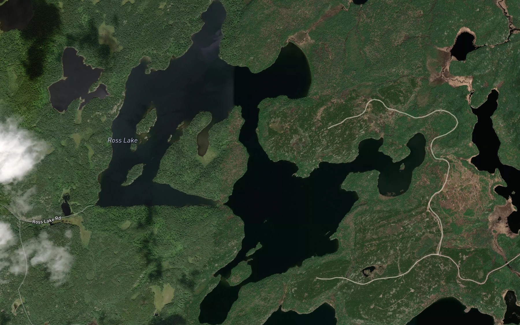 Satellite map of the Ross Lake