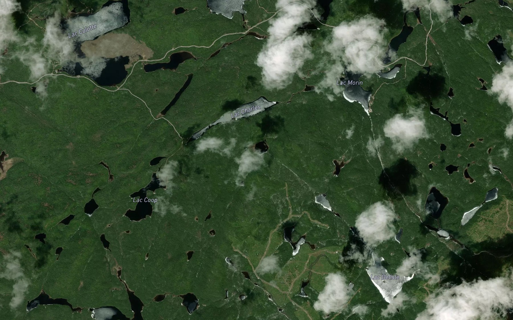 Satellite map of the Lac de la Couenne