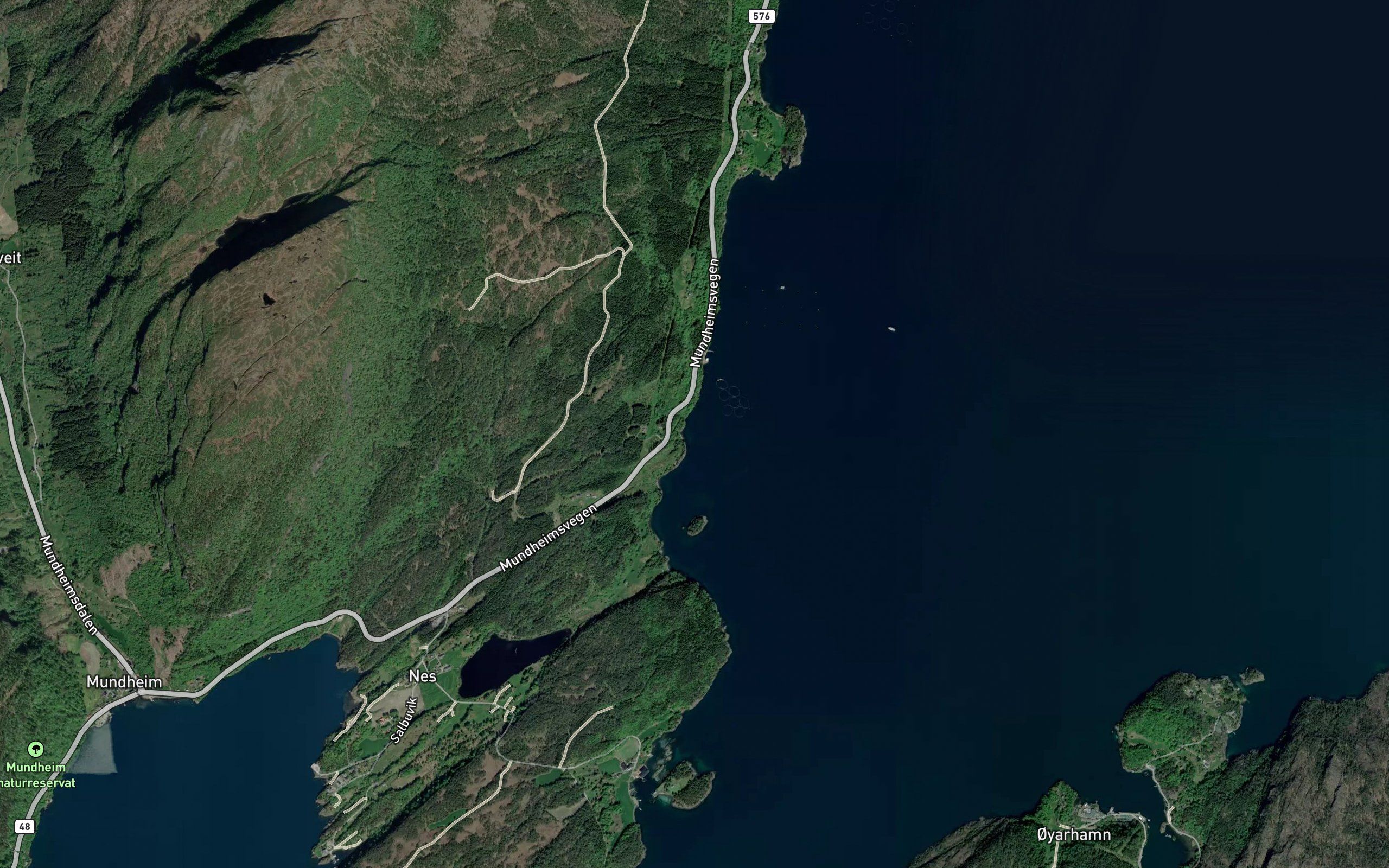 Asalvika