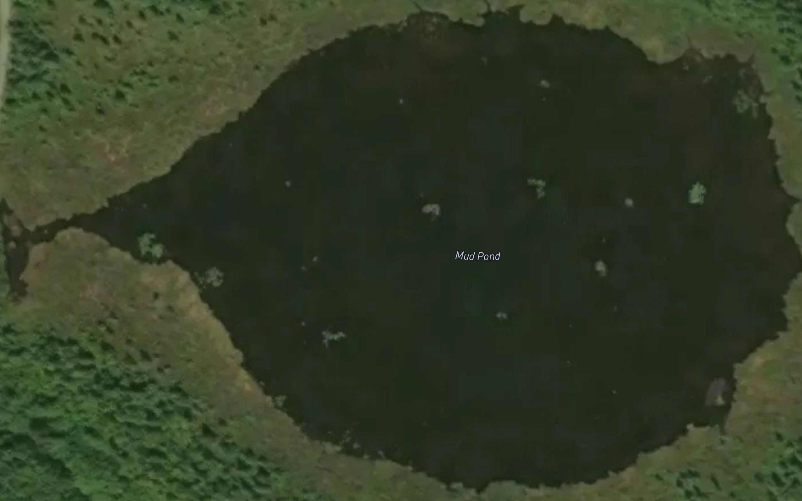 Mud Pond