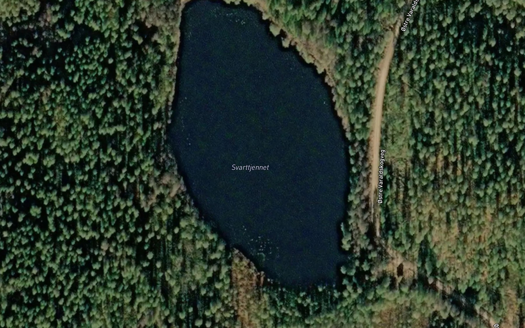 Satellite map of the Svarttjernet