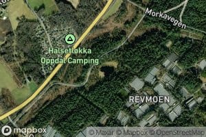 Hallsettjorna
