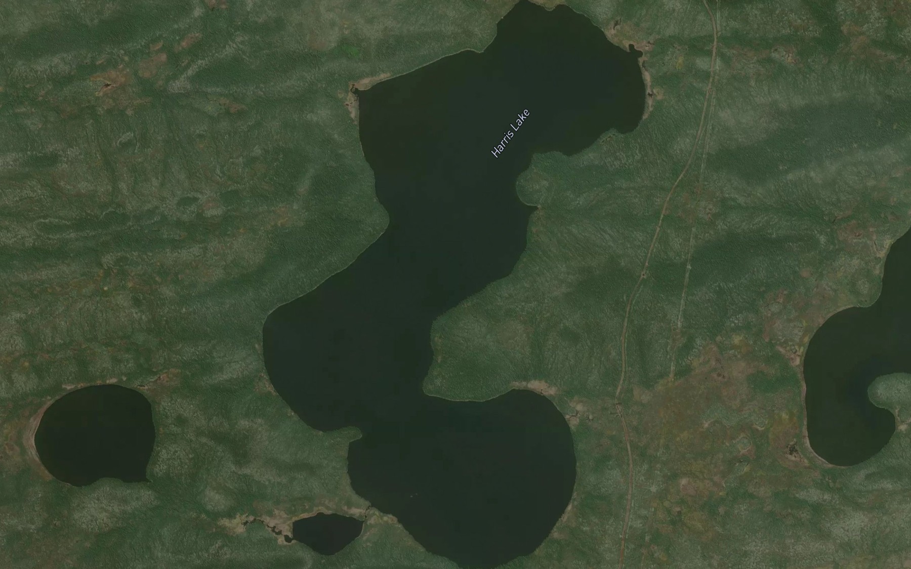 Satellite map of the Harris Lake