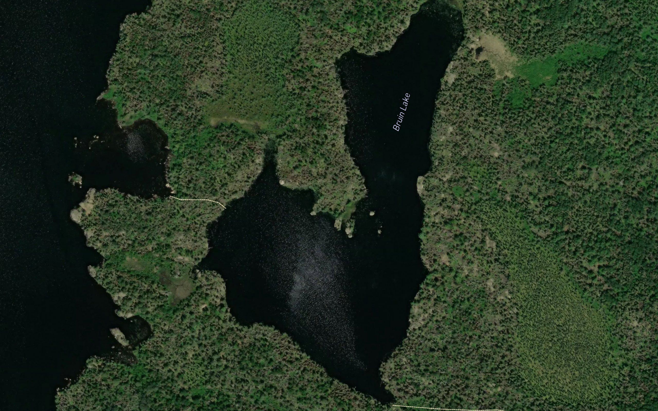 Bruin Lake