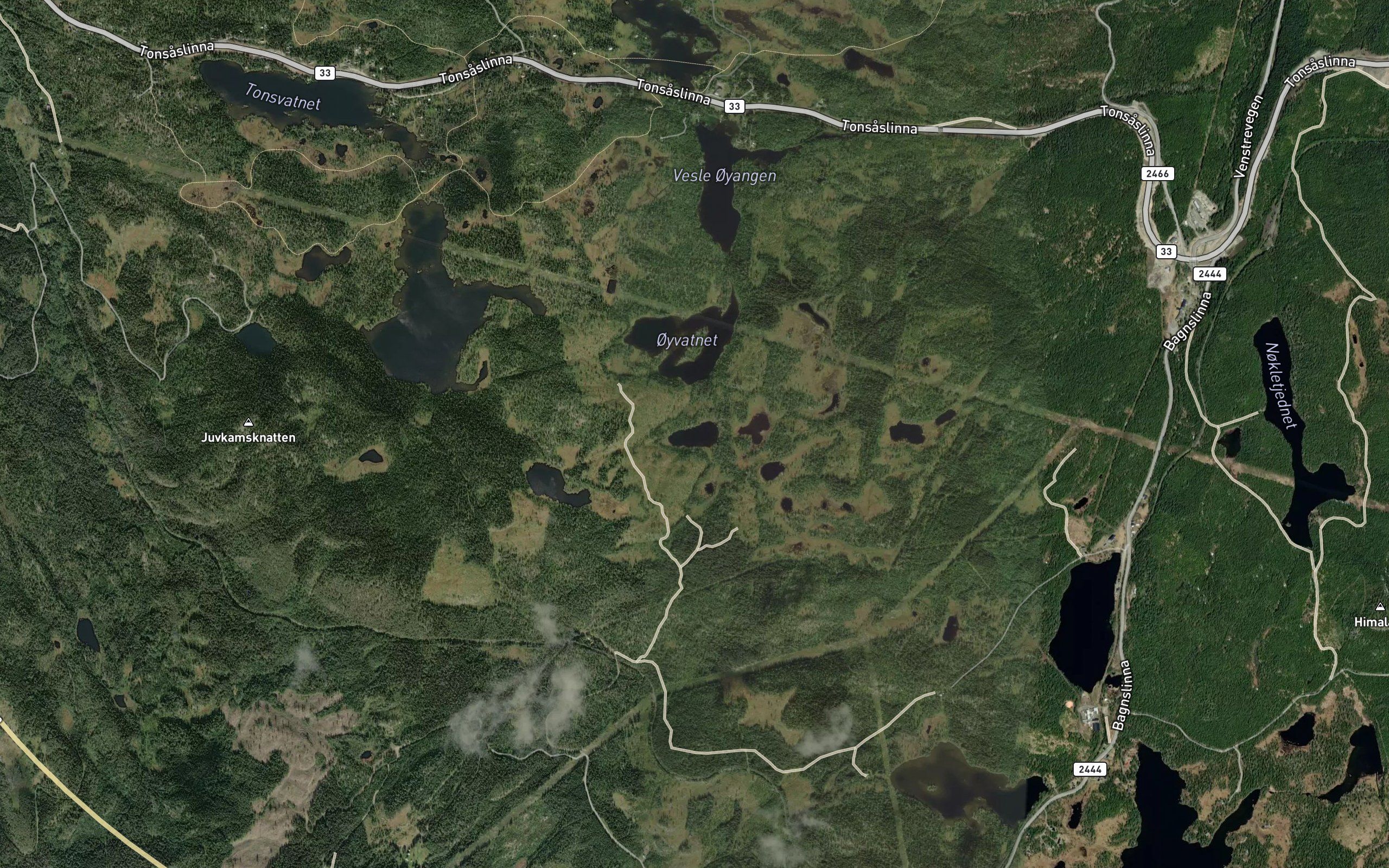 Elgtjednet