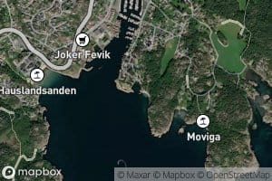 Verkstedviga