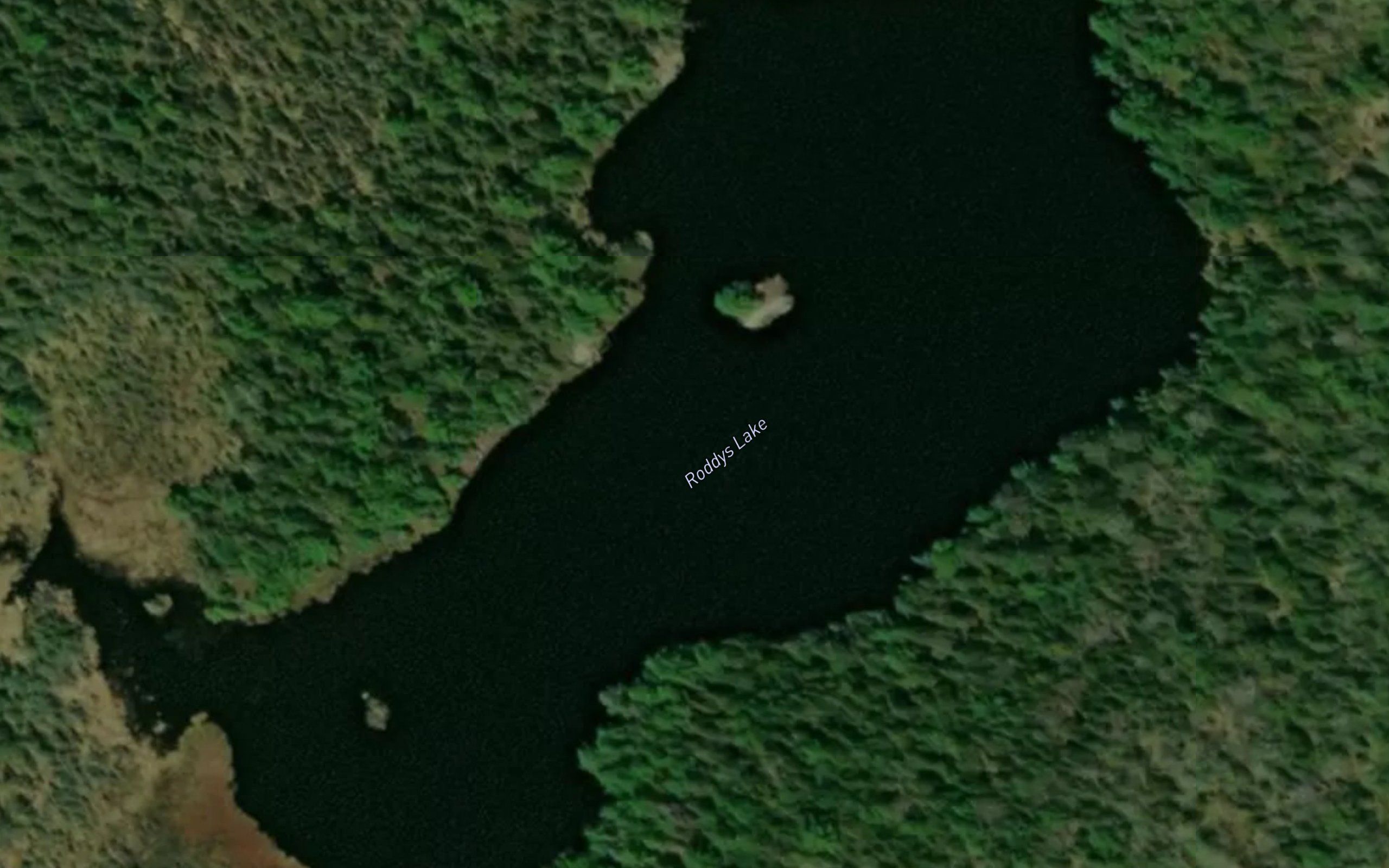Roddys Lake