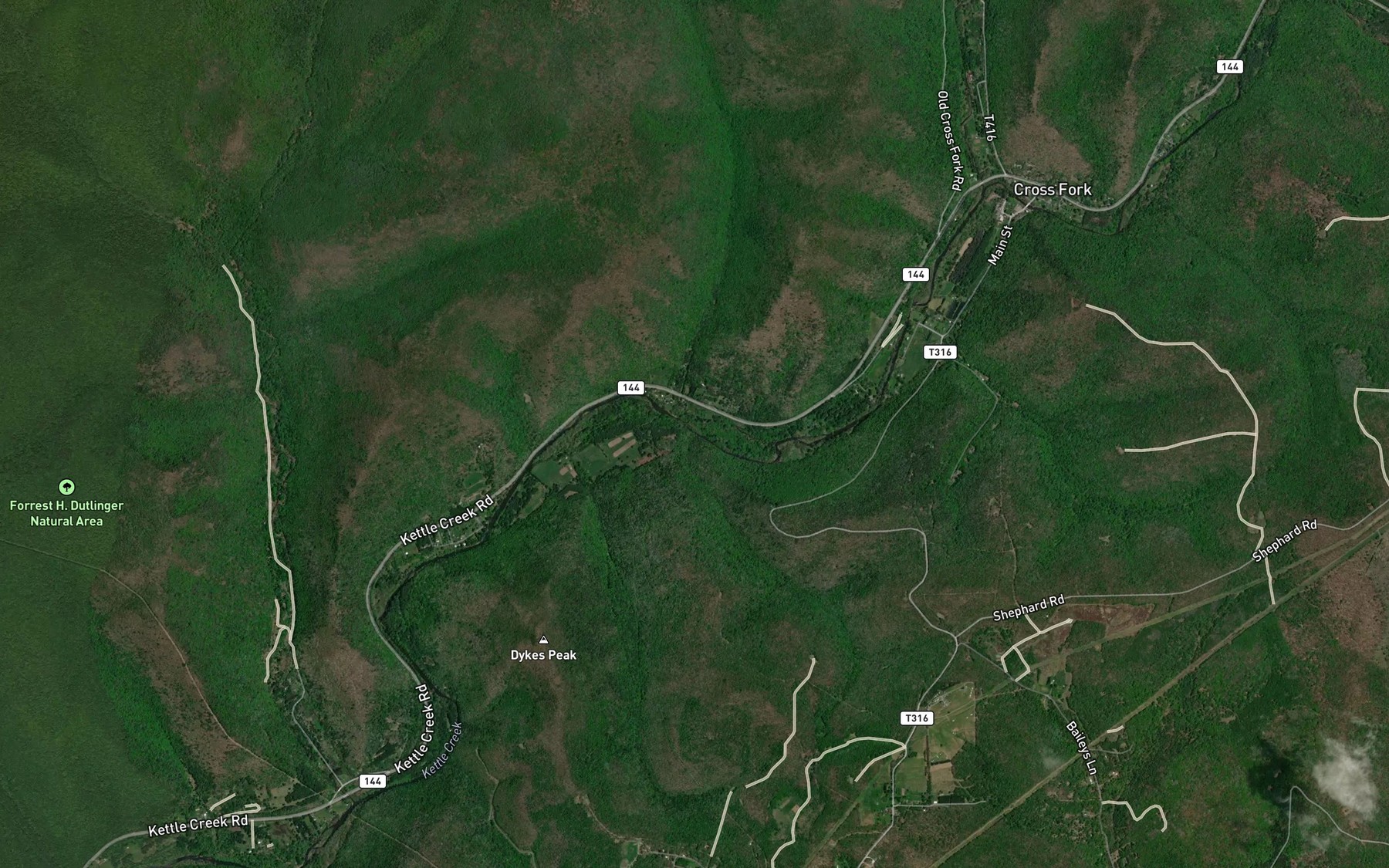 Satellite map of the Carey Run