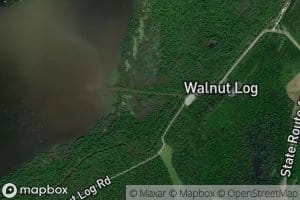 Walnut Log Ditch