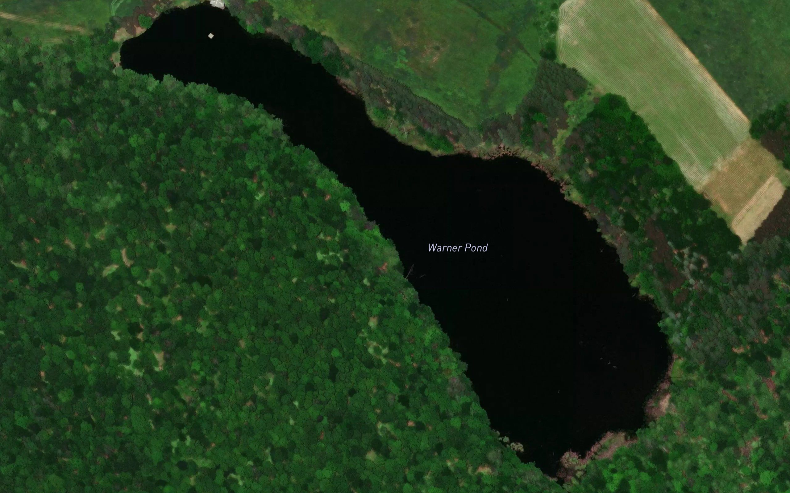 Warriner Pond