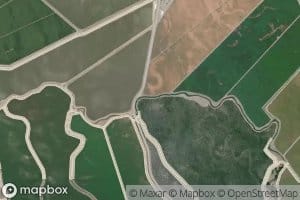 Wood Slough