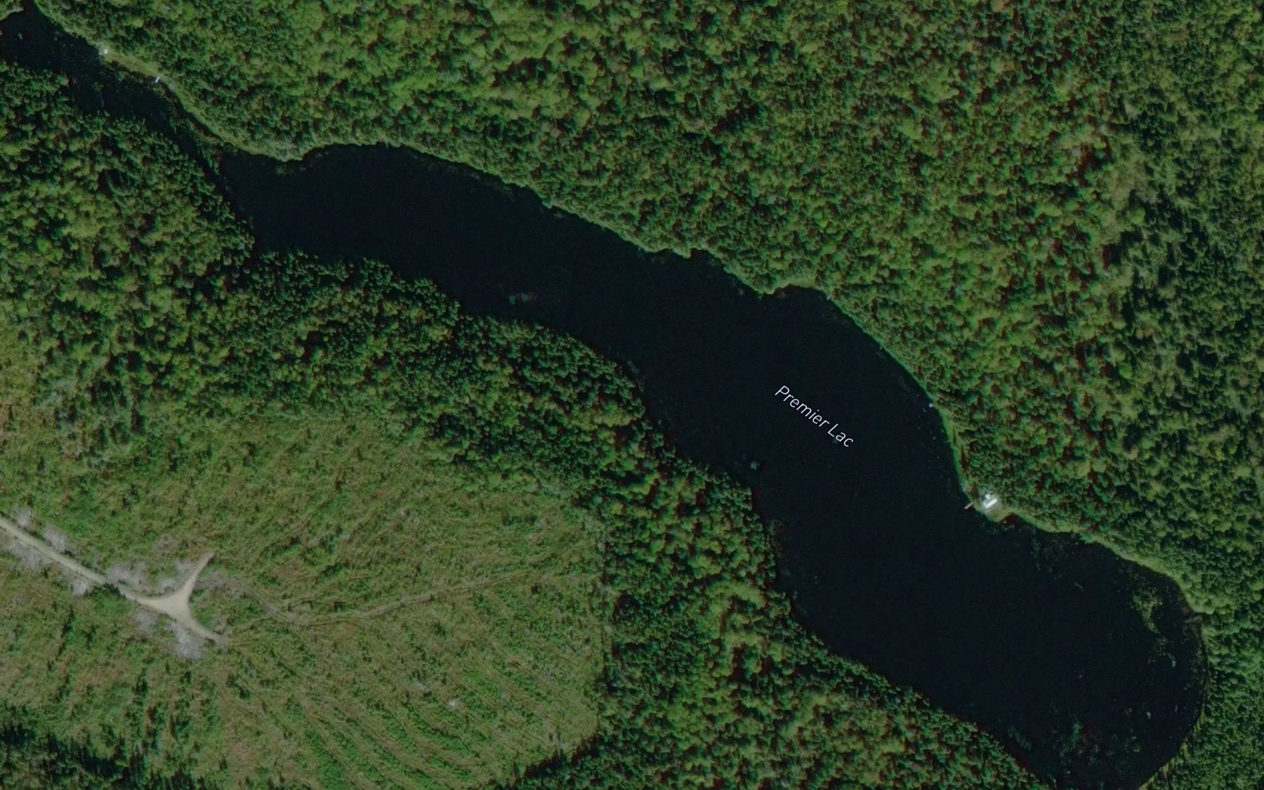 Satellite map of the Premier Lac