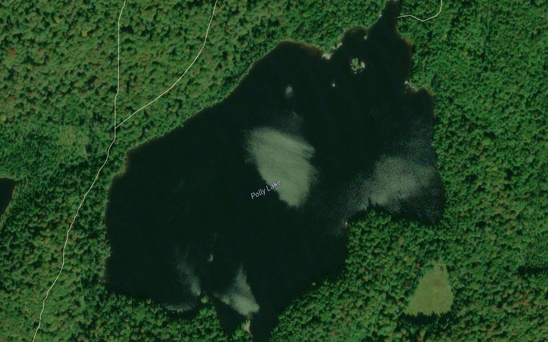 Satellite map of the Polly Lake