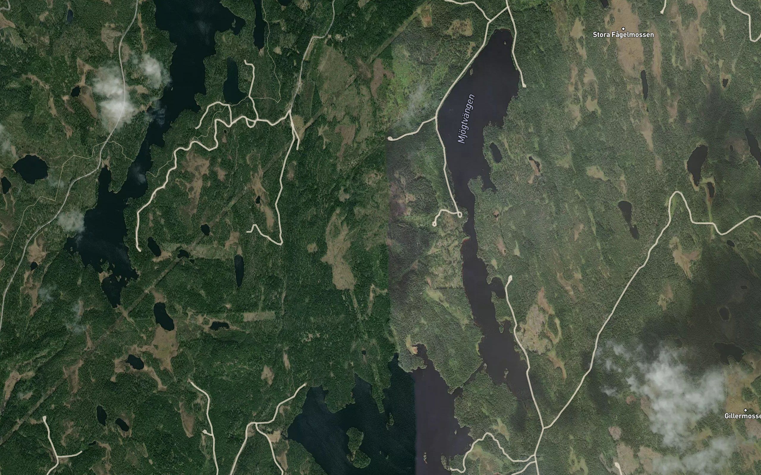Mjogtvangen