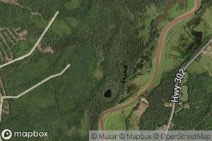 Reid Brook