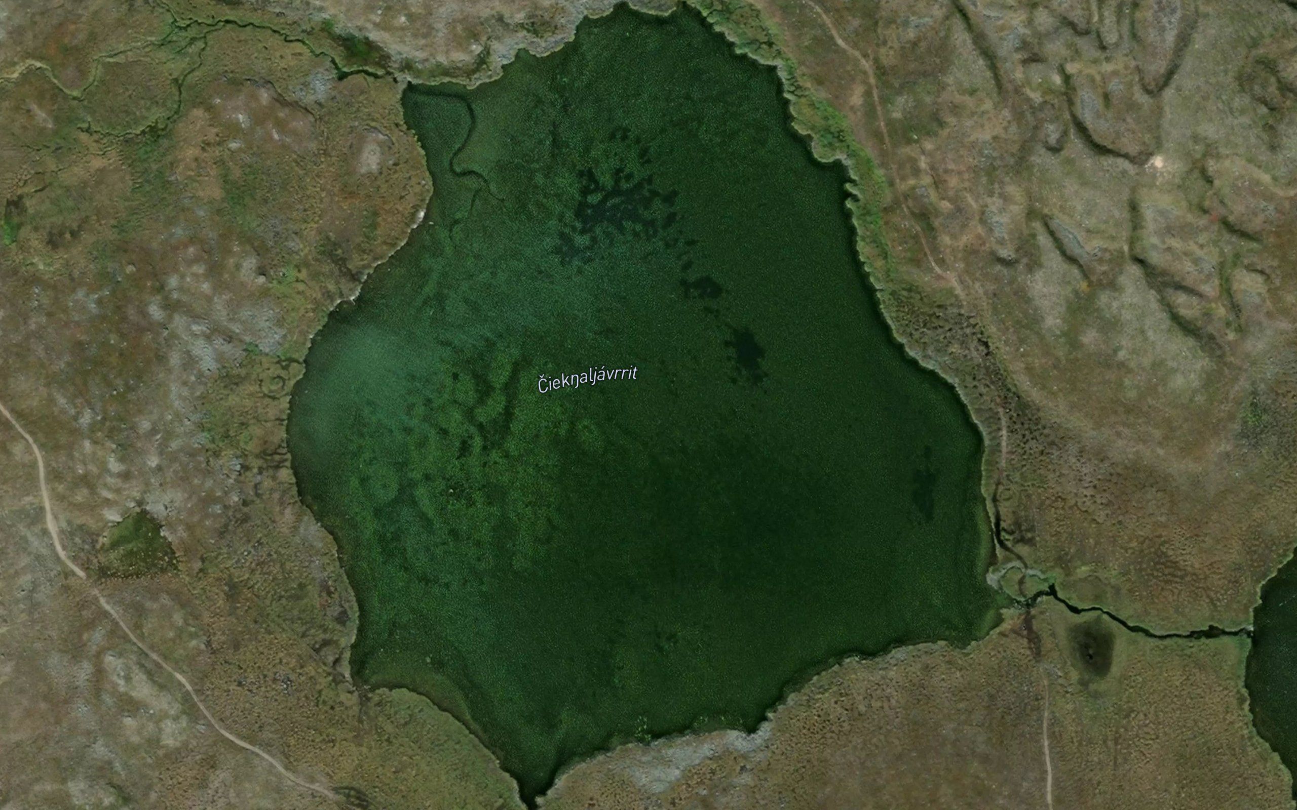 Ciegnaljavrit