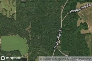Beaverdam Creek