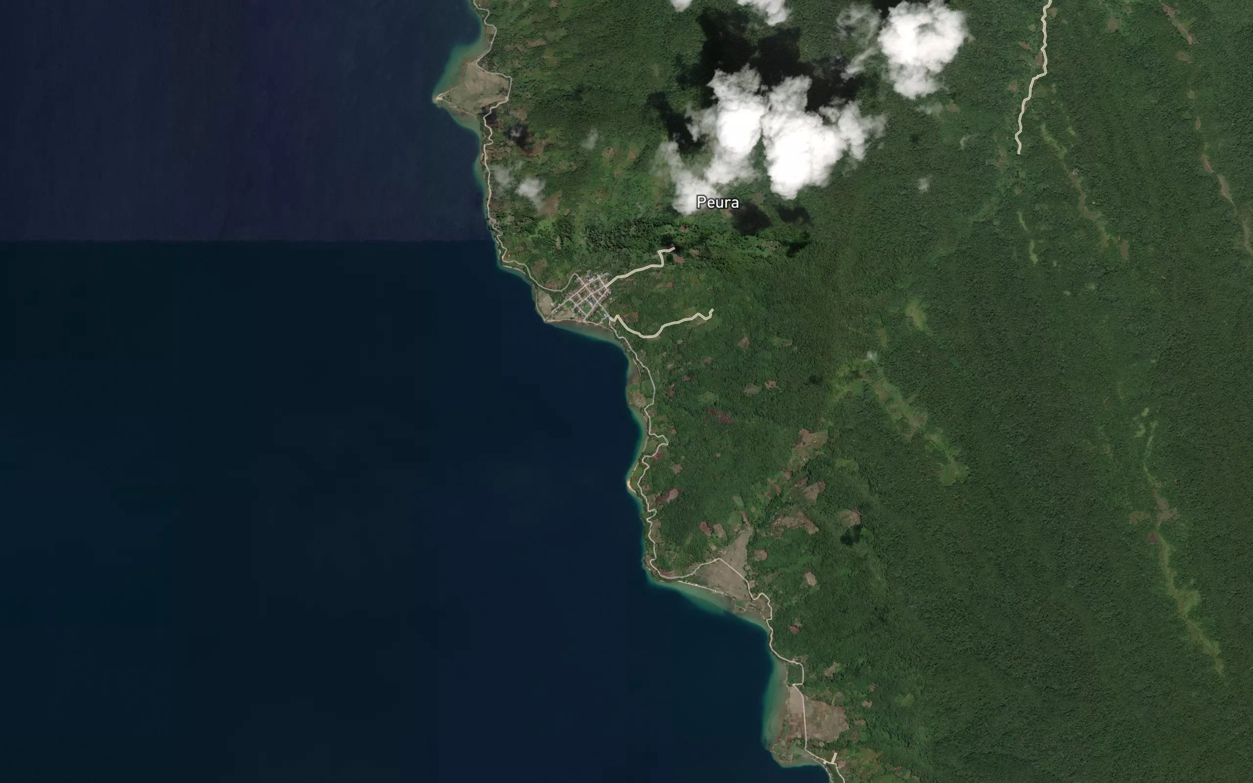 Koro Pongo