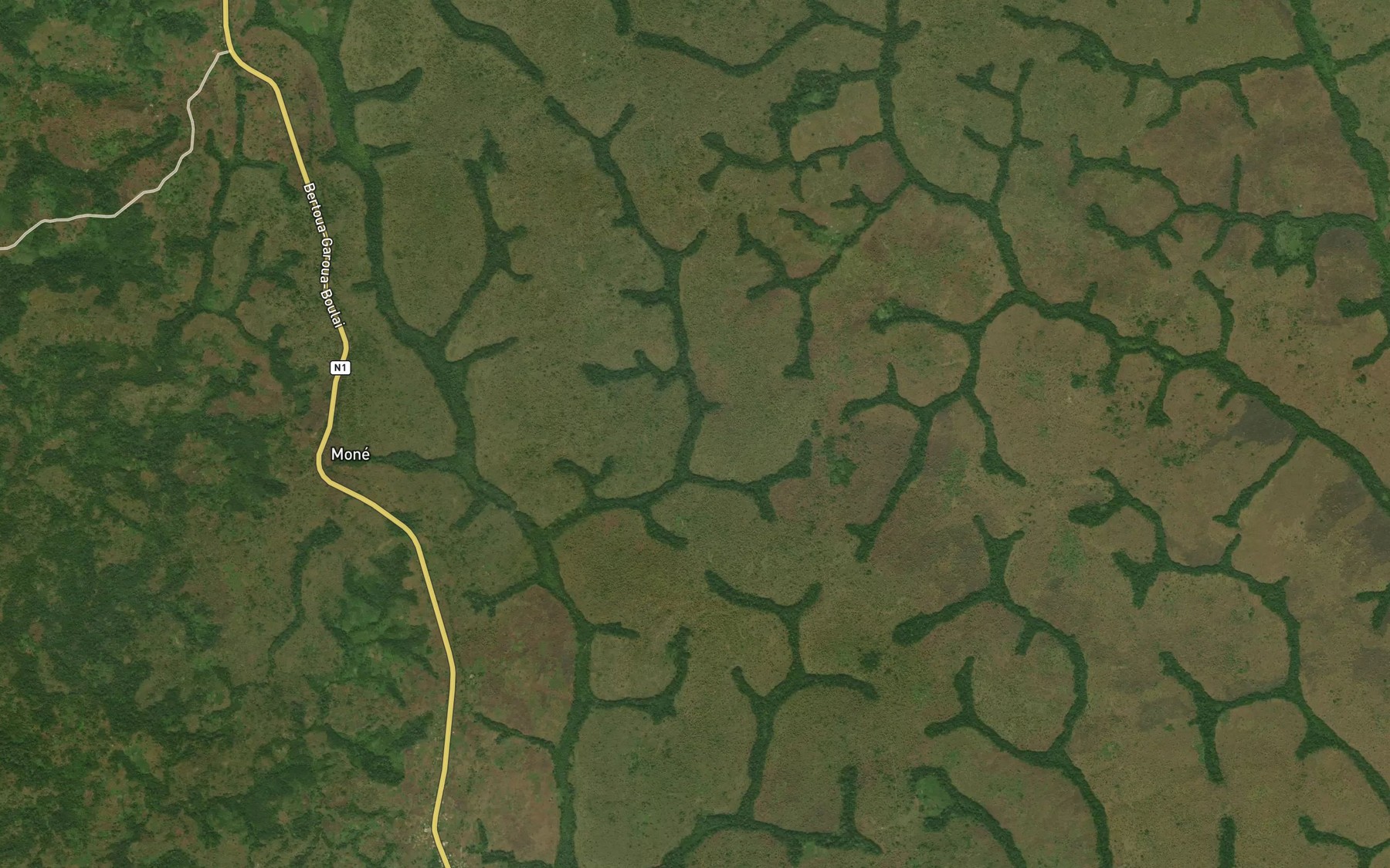 Satellite map of the Ngabili