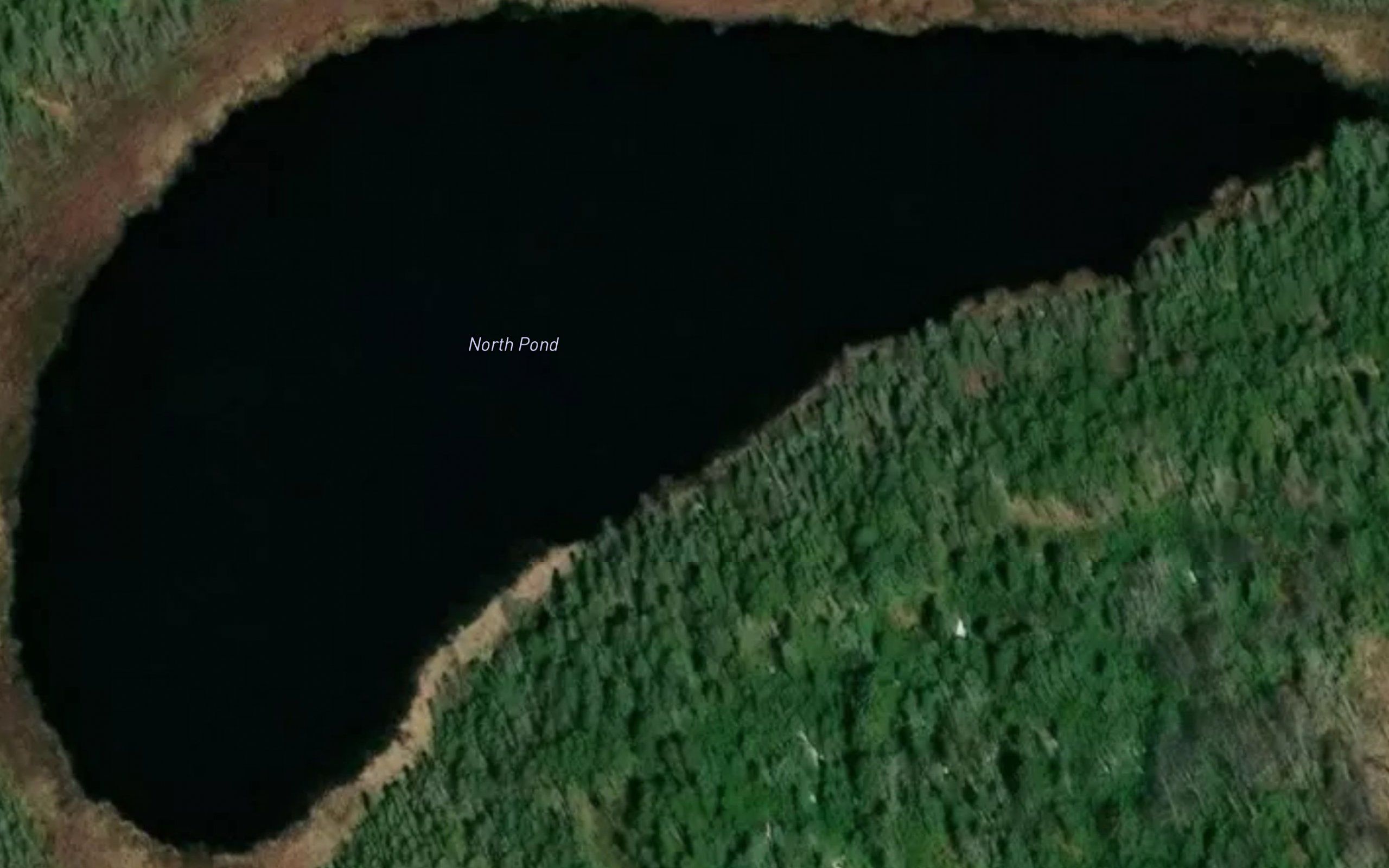 North Pond