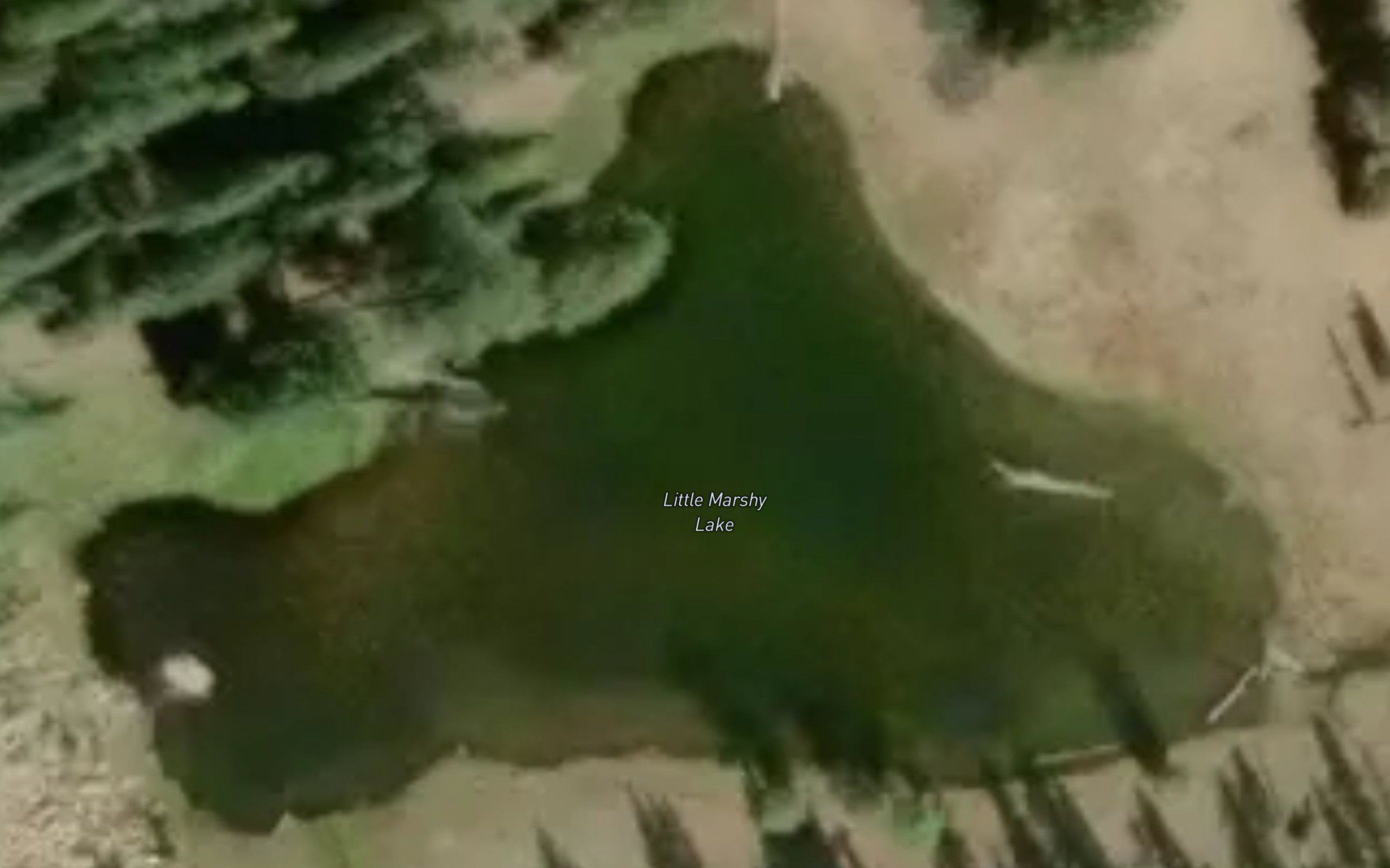 Little Marshy Lake