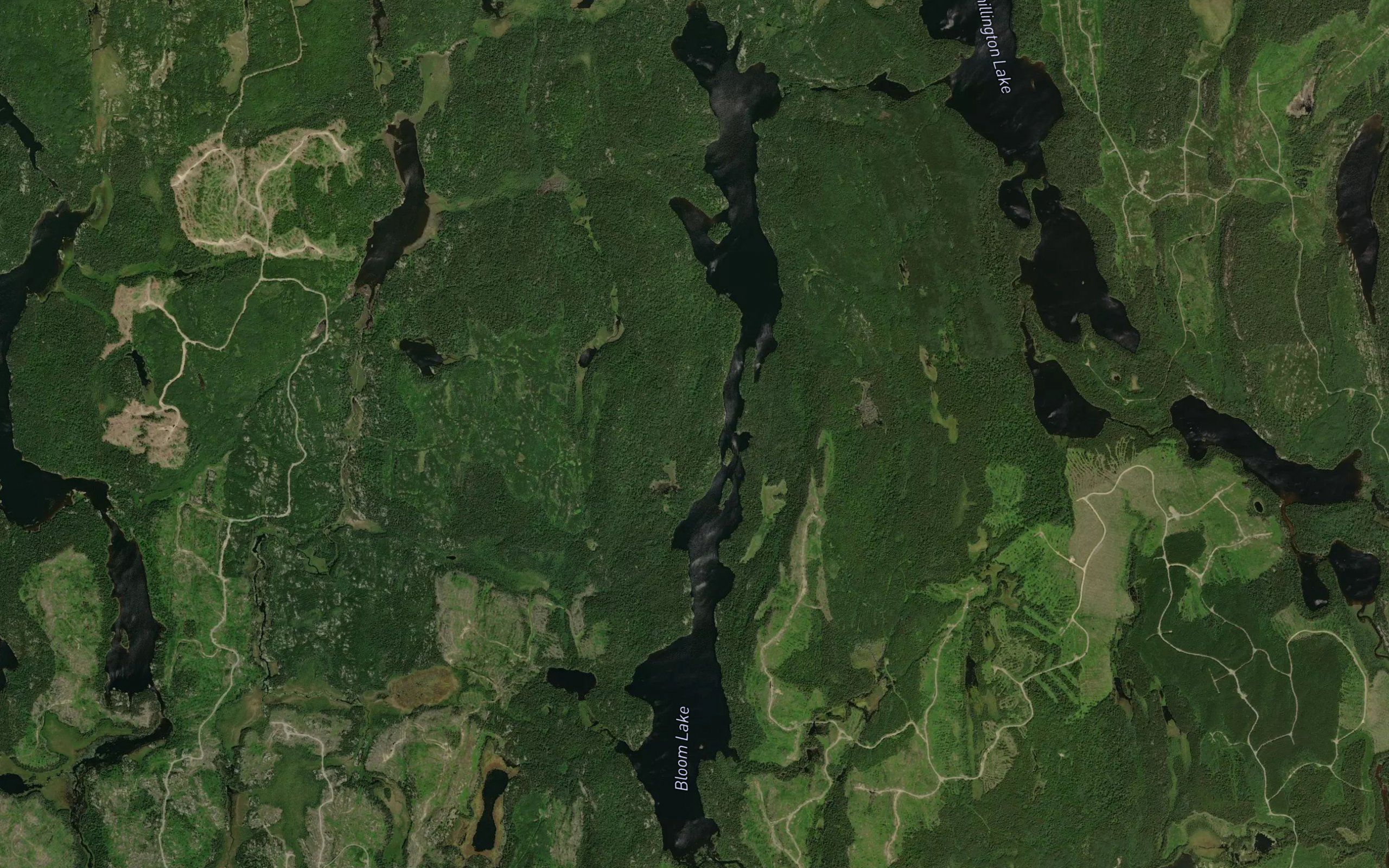 Bloom Lake