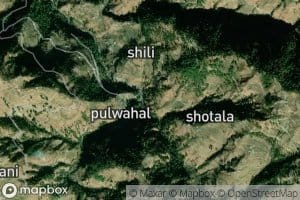 Patal N