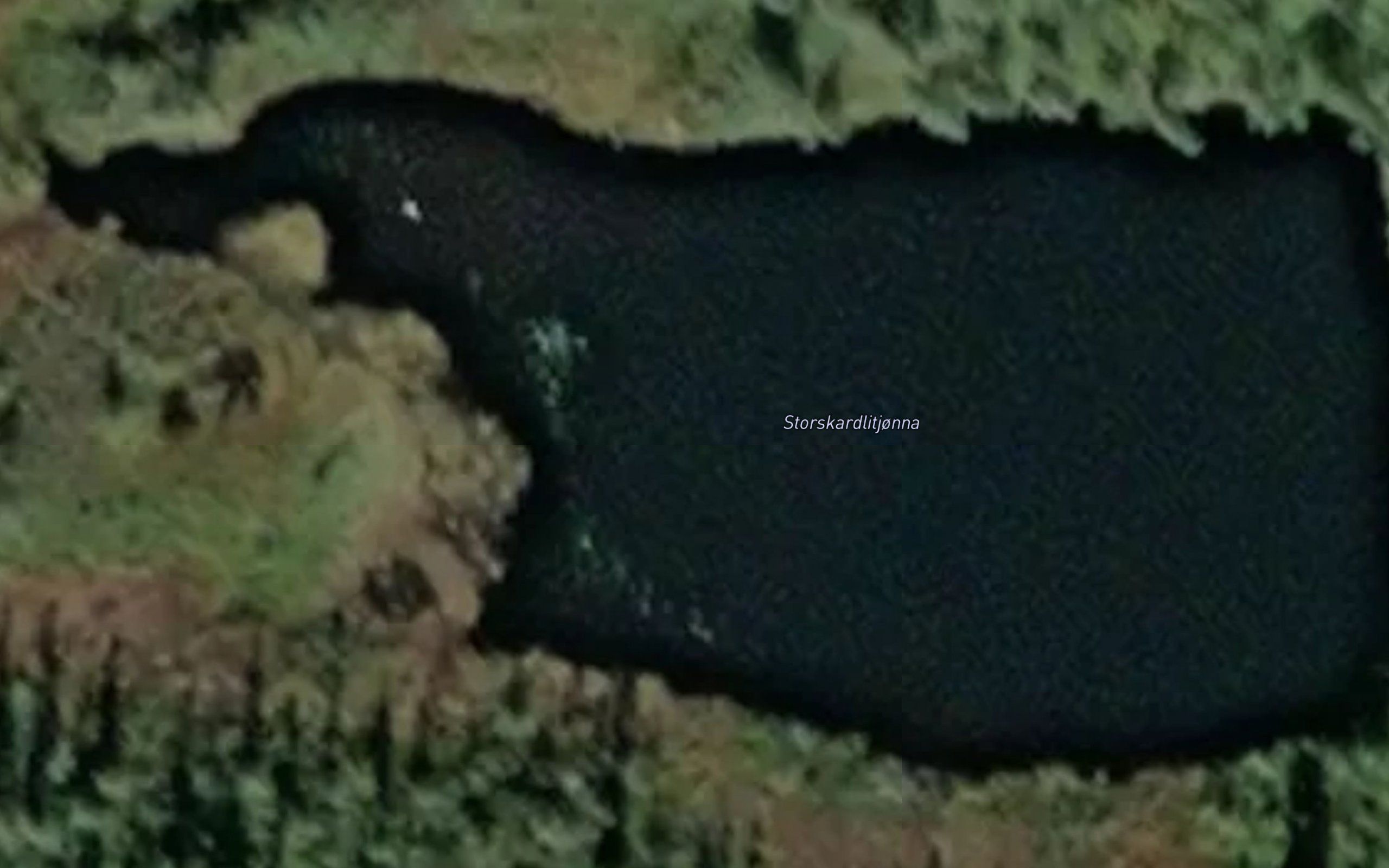 Storskardlitjorna