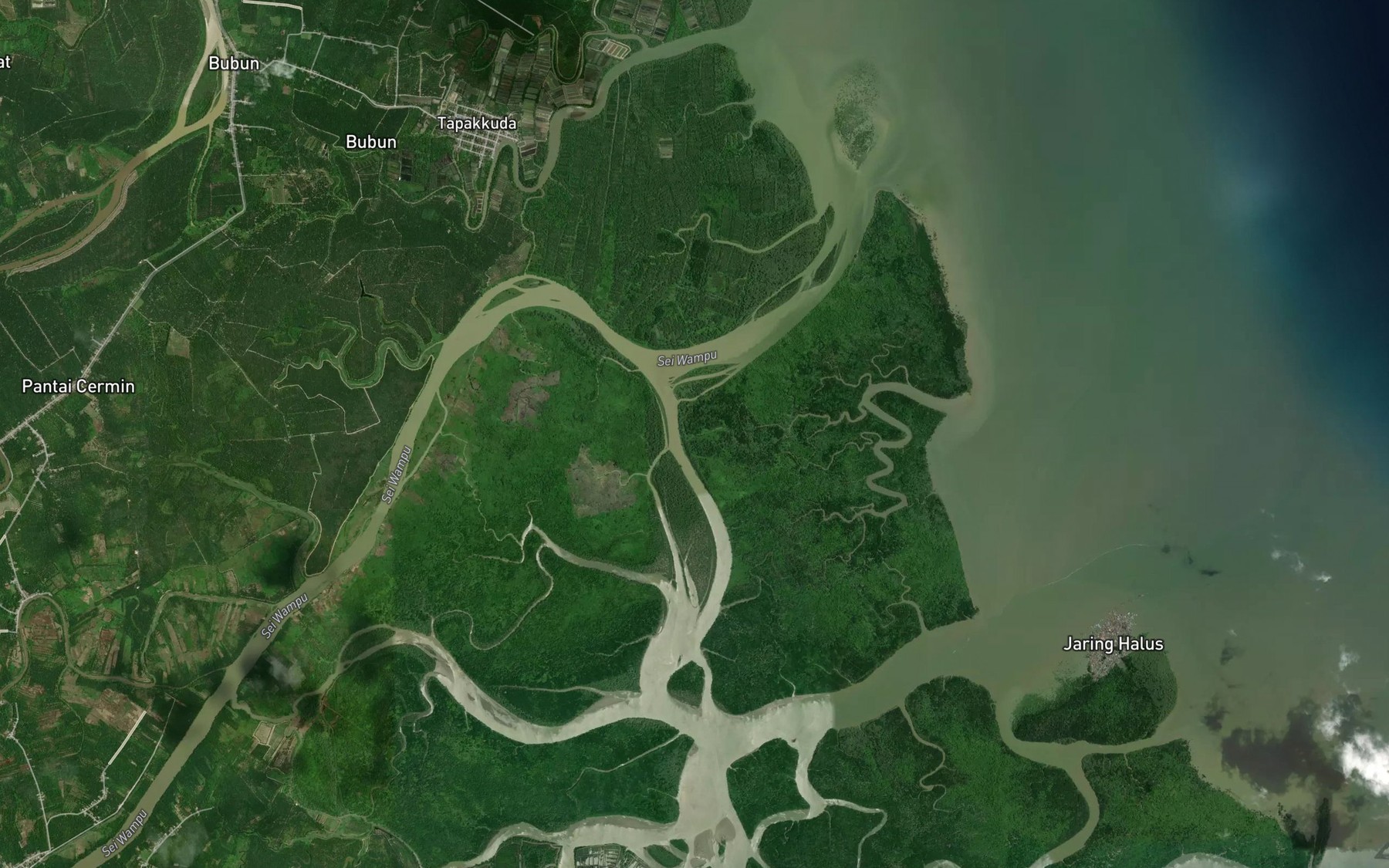 Satellite map of the Paluh Api-api