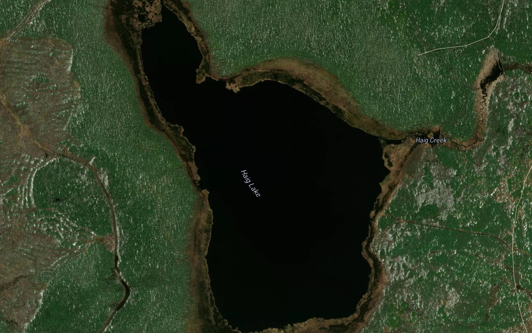 Satellite map of the Haig Lake