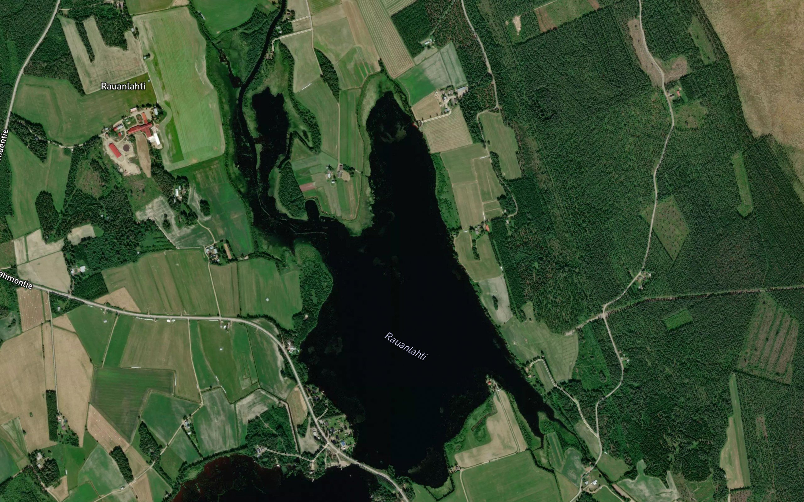Rauanlahti