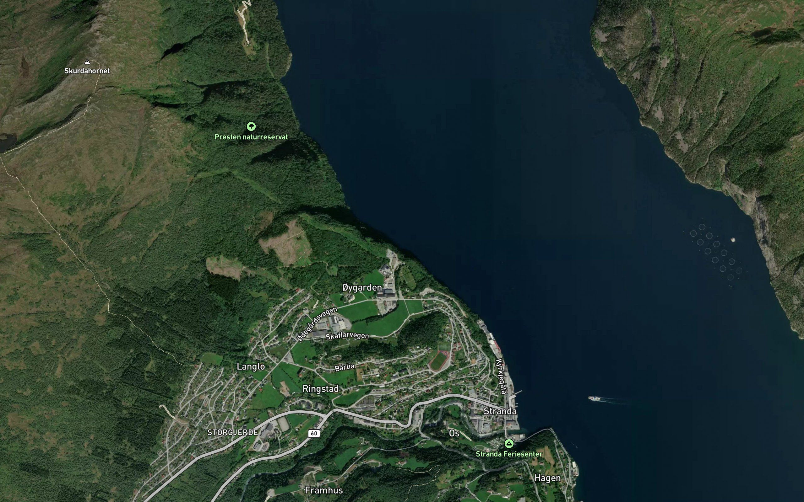 Bukkeflavika