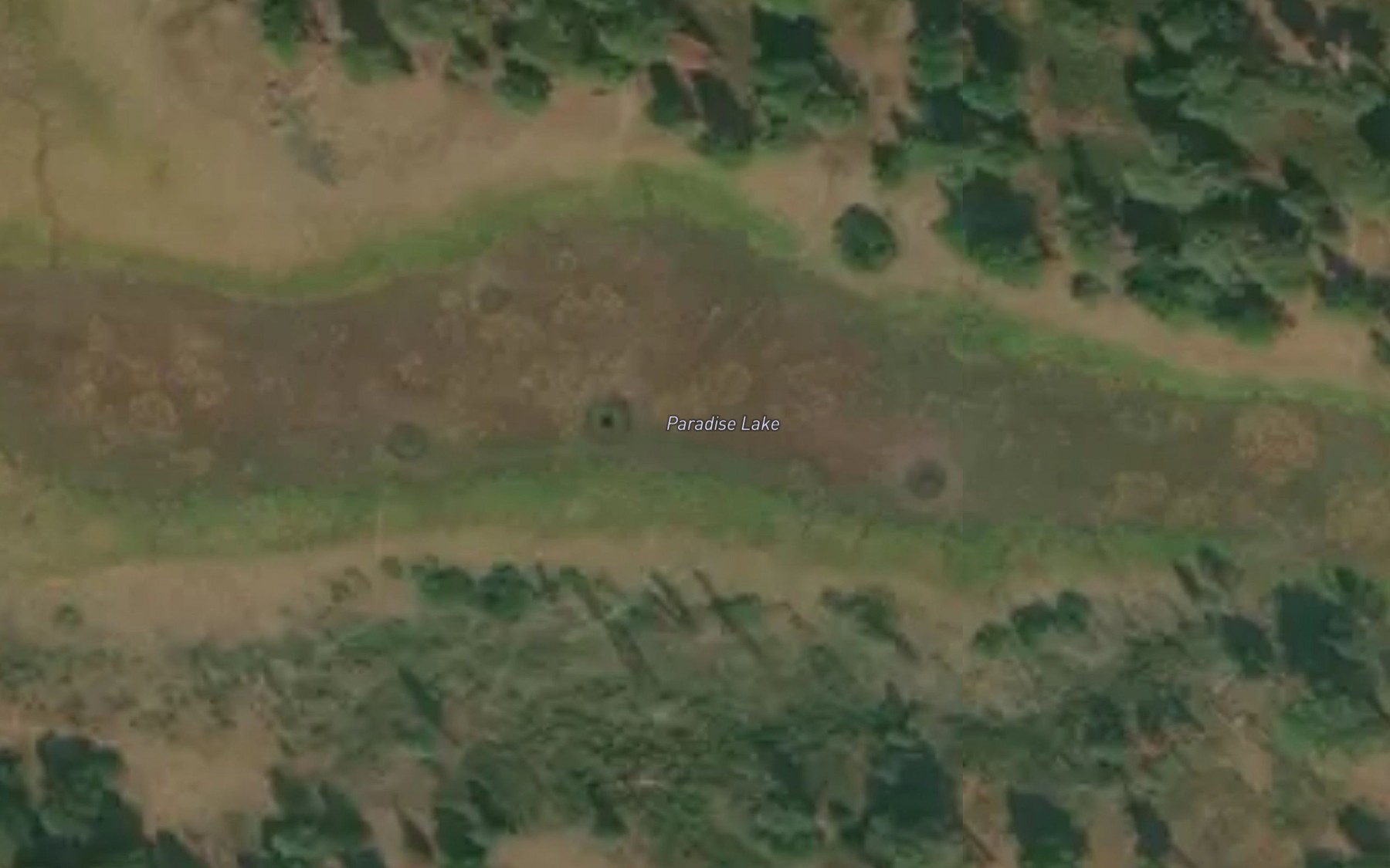 Satellite map of the Paradise Lake
