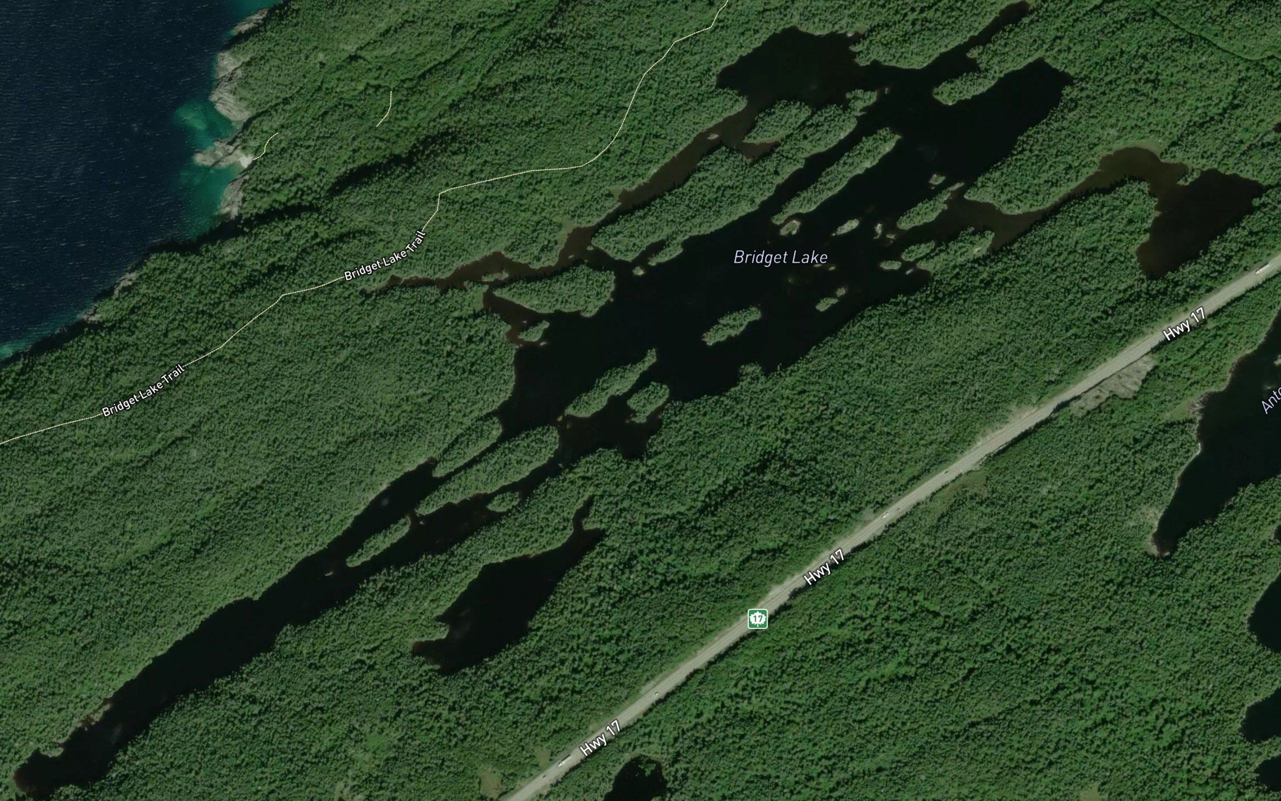 Bridget Lake