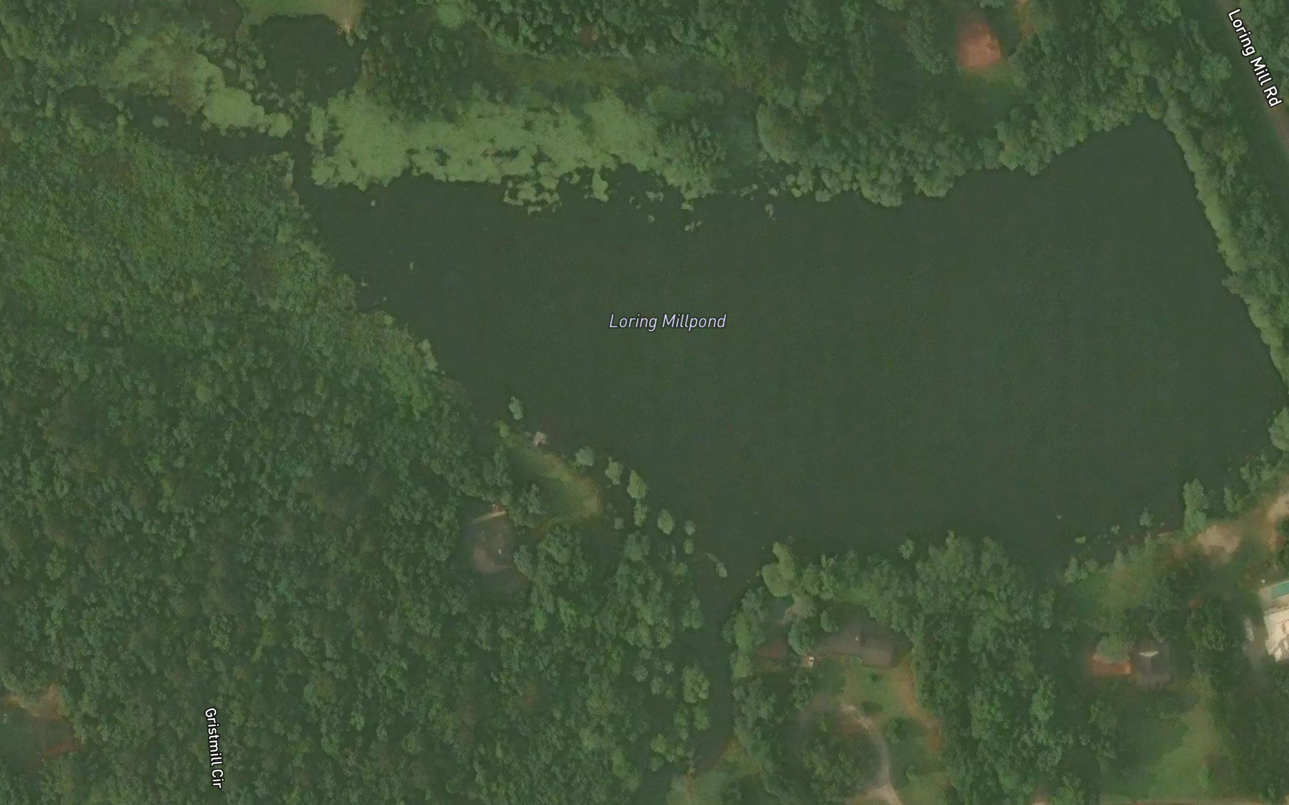 Loring Millpond
