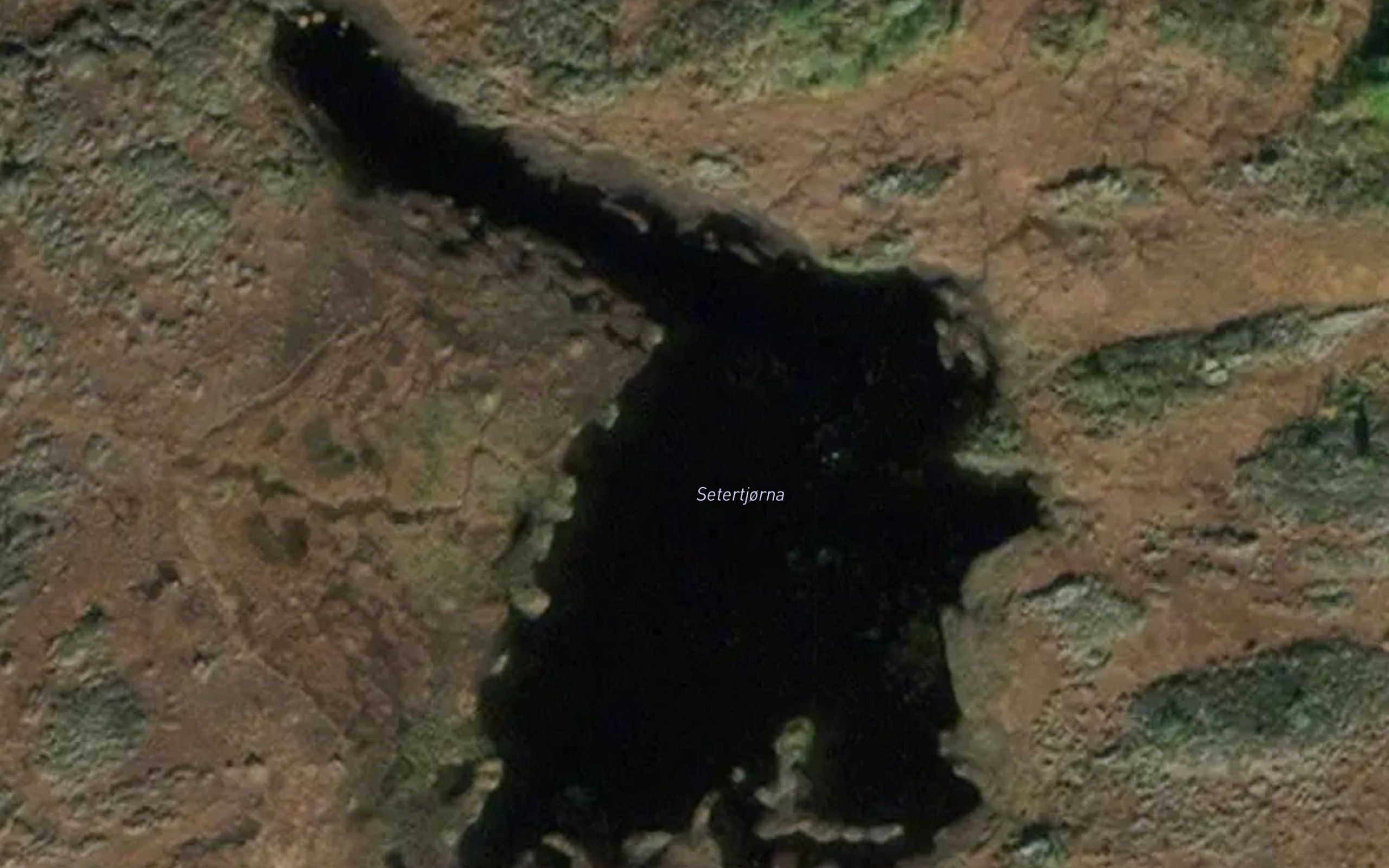 Setertjorna