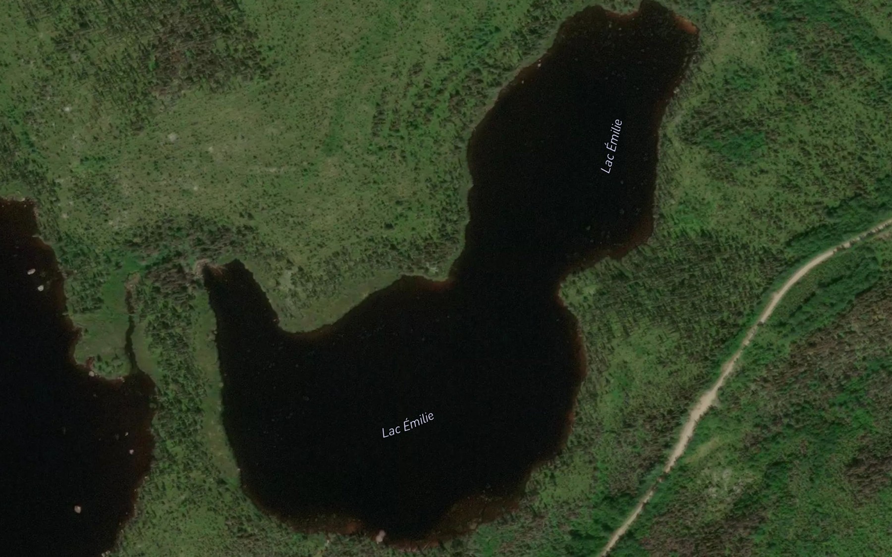 Satellite map of the Lac Emilie