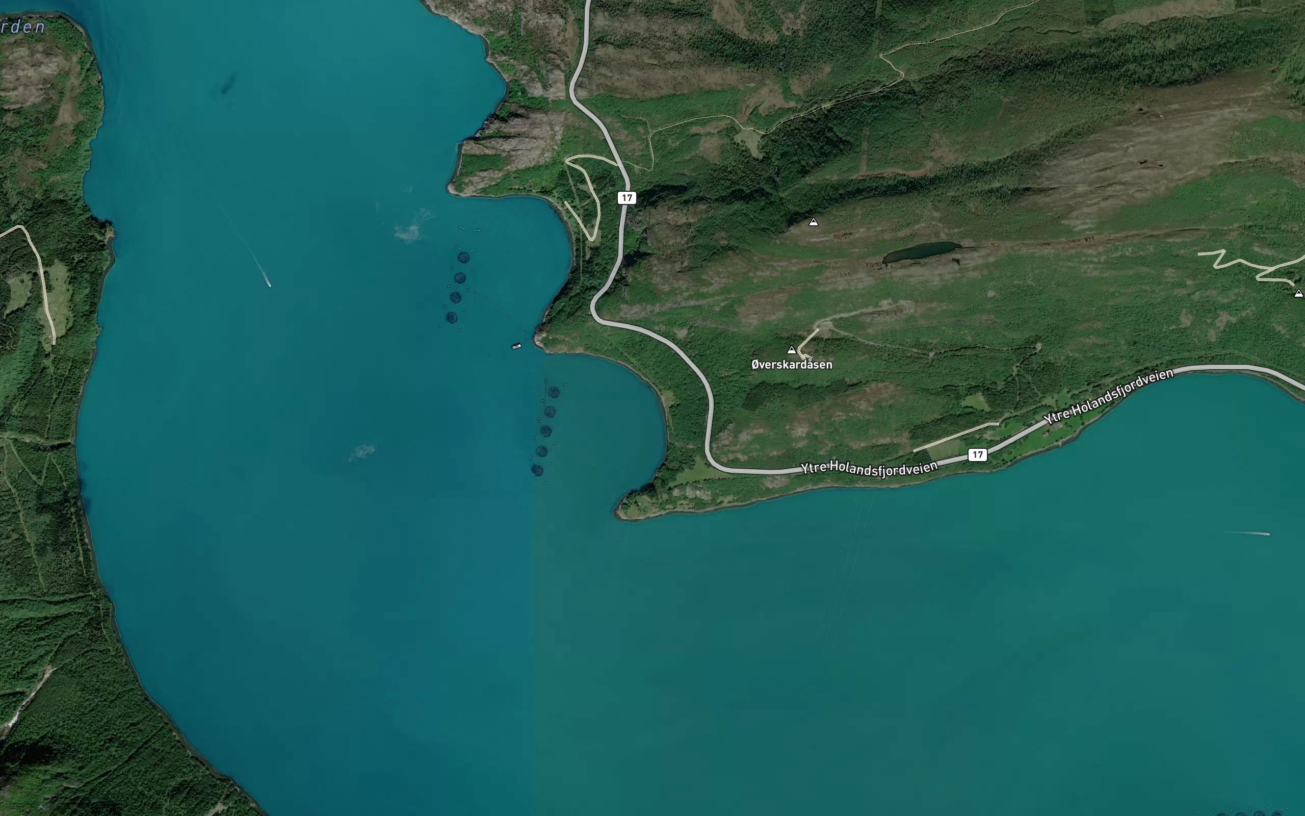 Krakvika