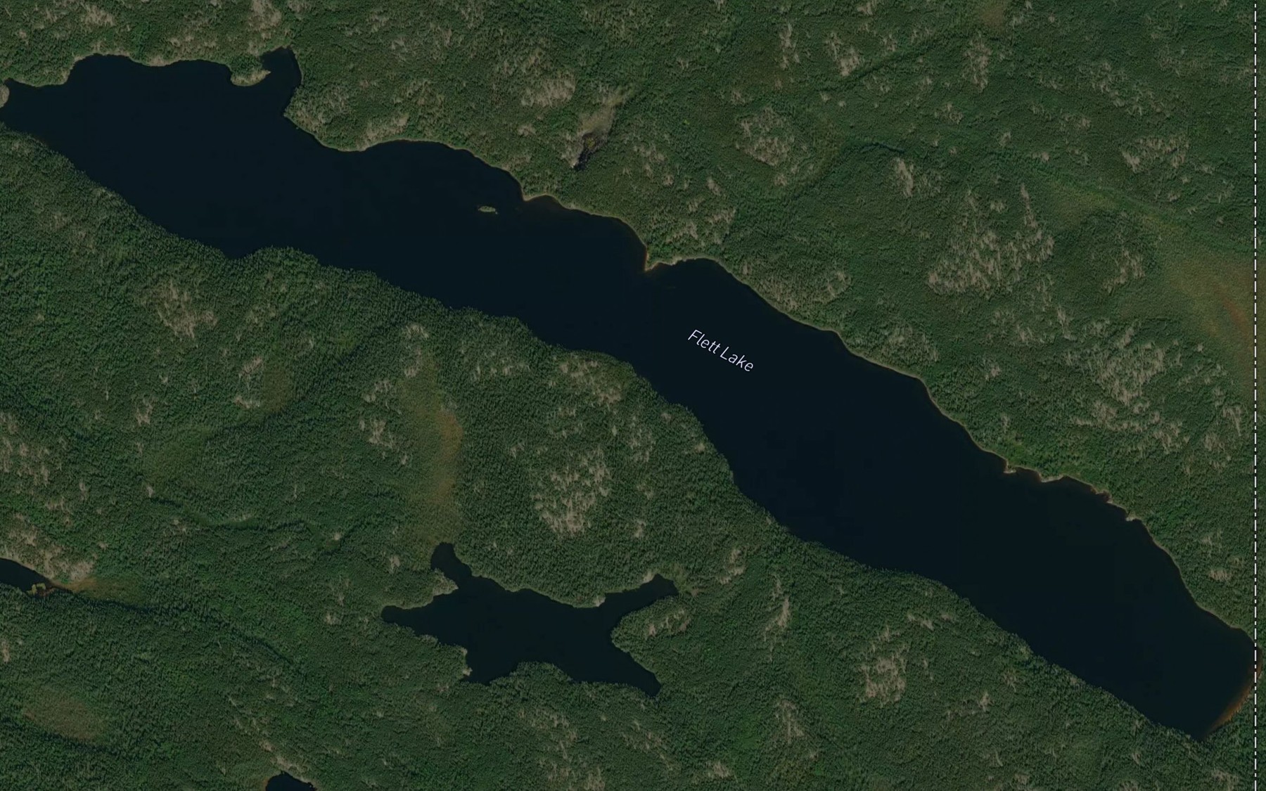 Satellite map of the Flett Lake