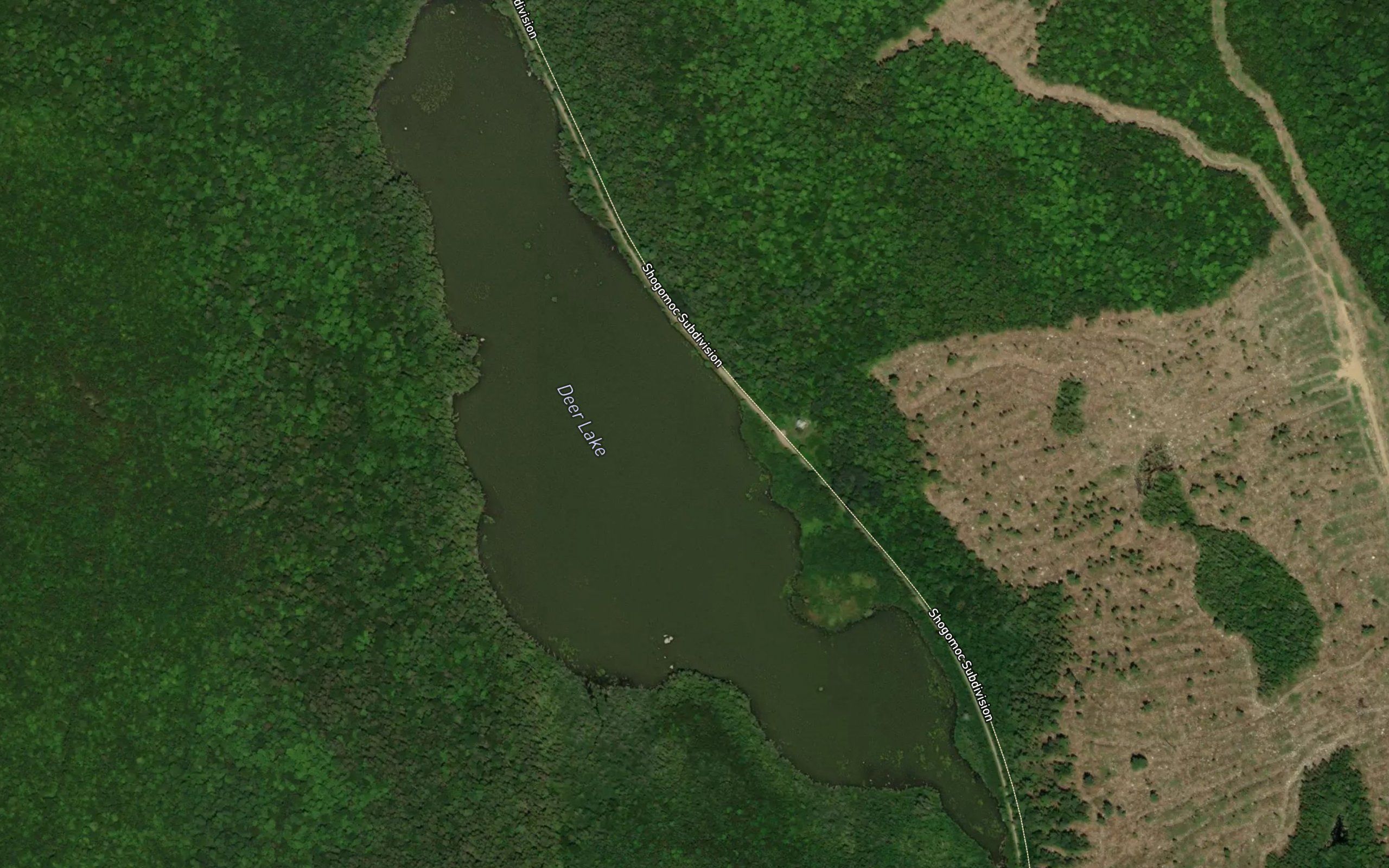 Deer Lake